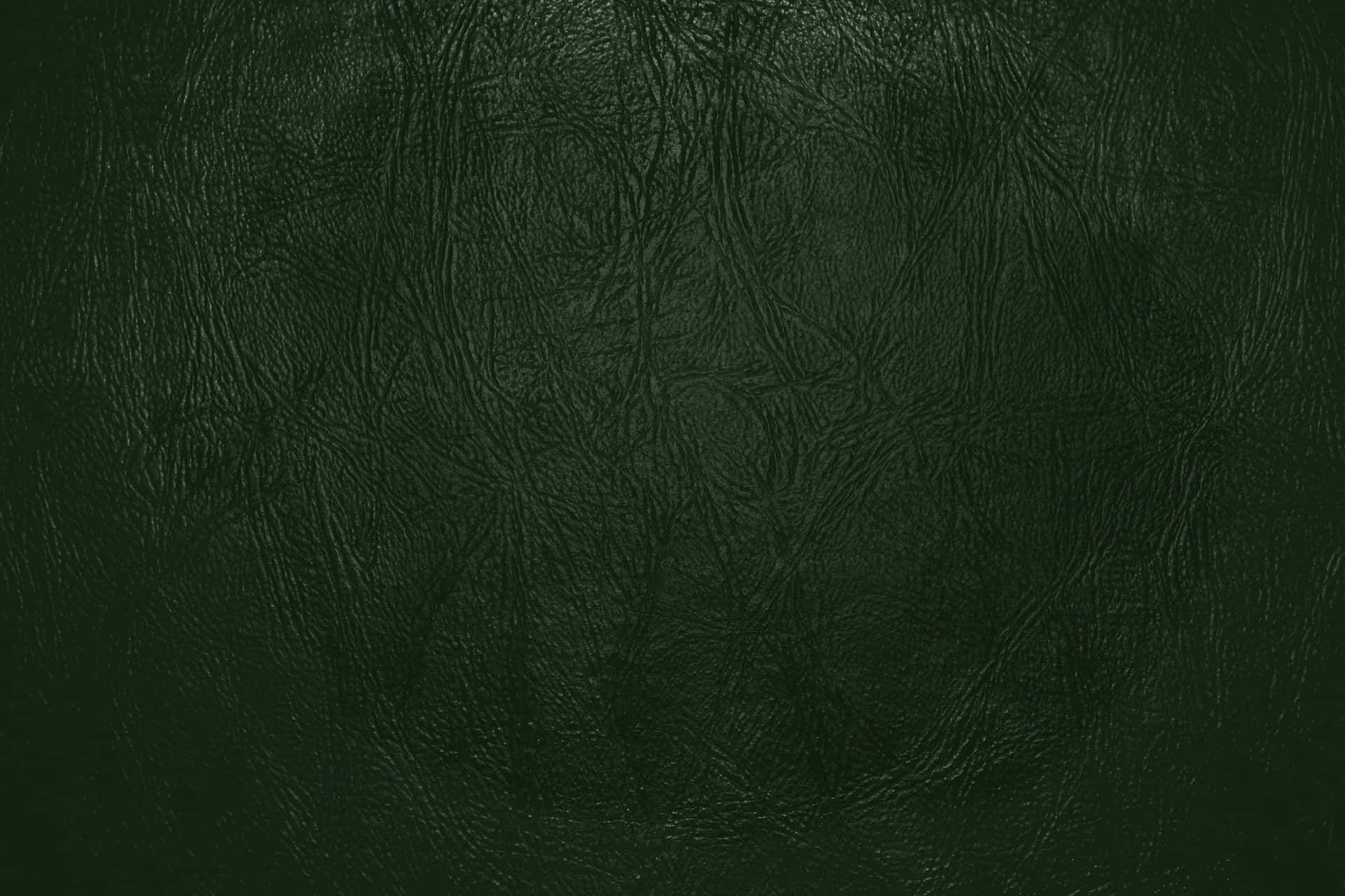 Green Forest Leather Texture