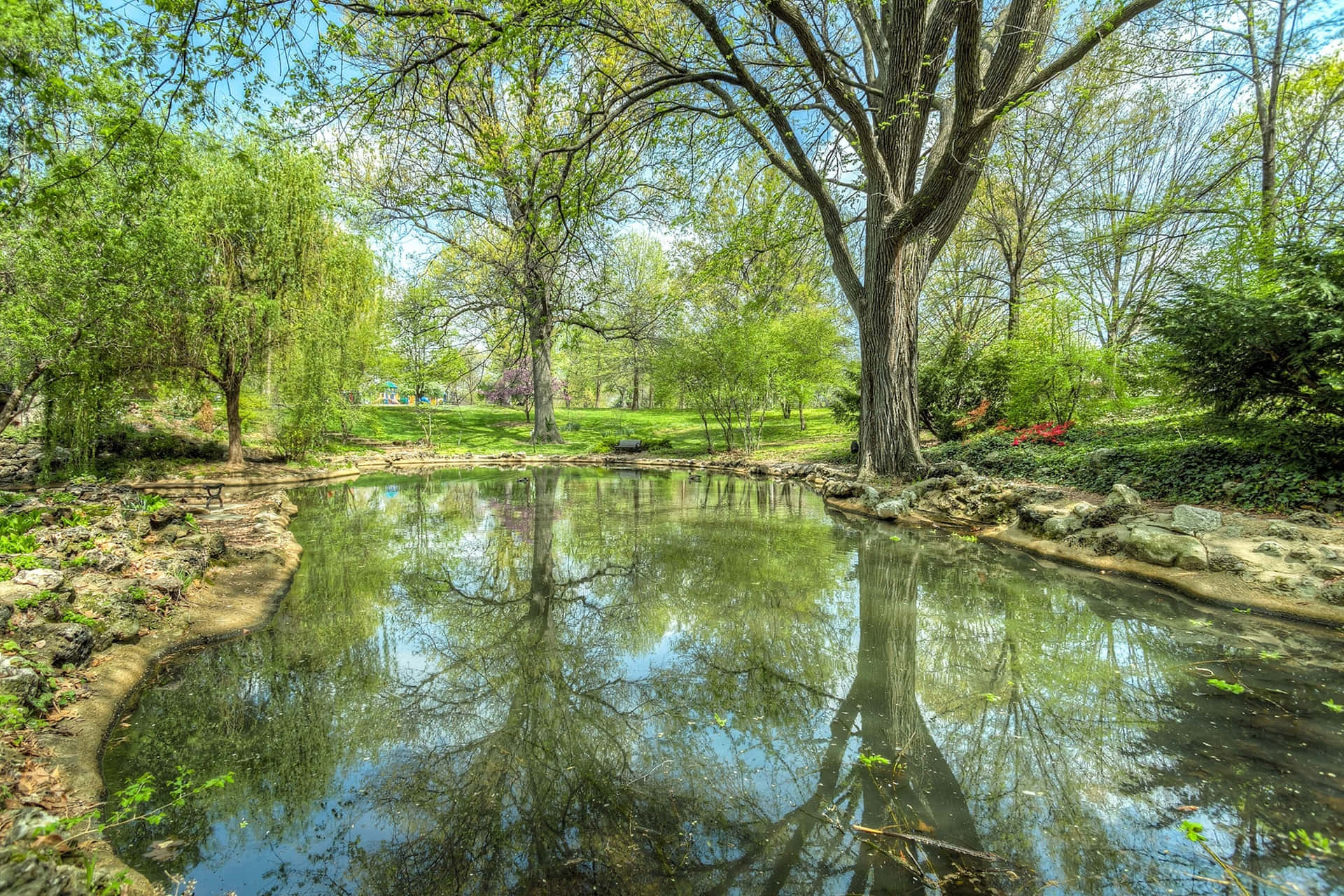 Green Forest With Pond Background