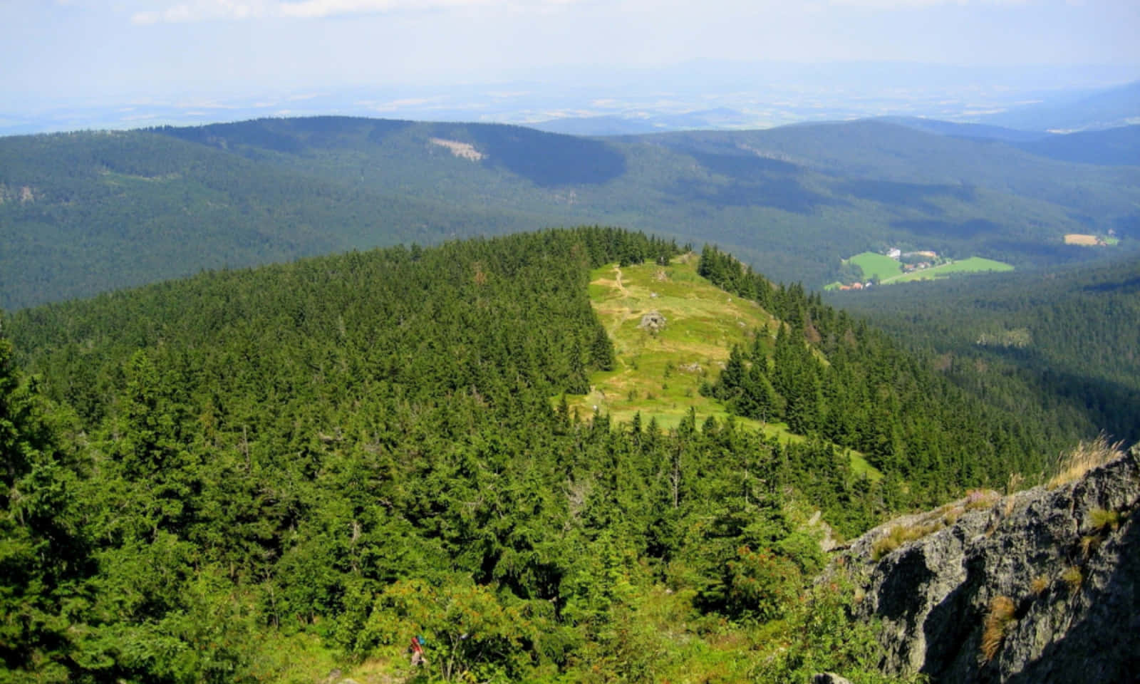 Green Forest With Valley