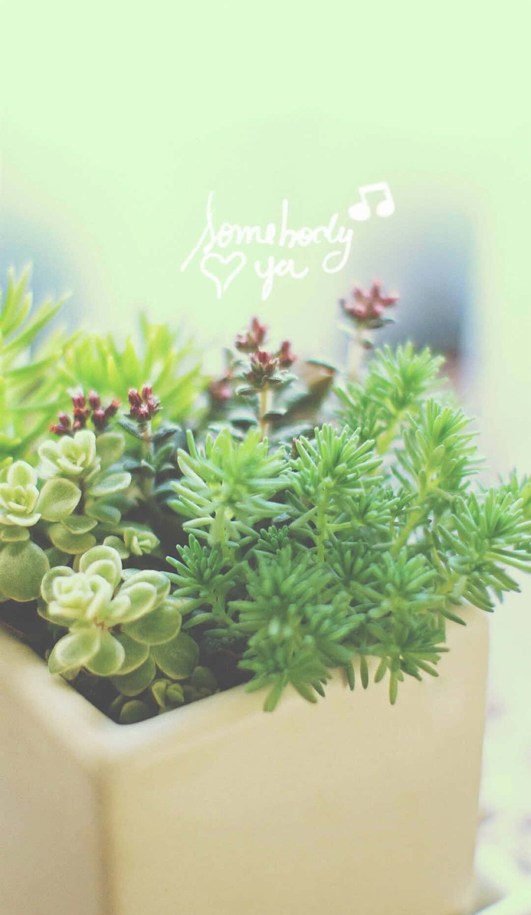 Green, Fresh And Free: Nature All In One Device. Background