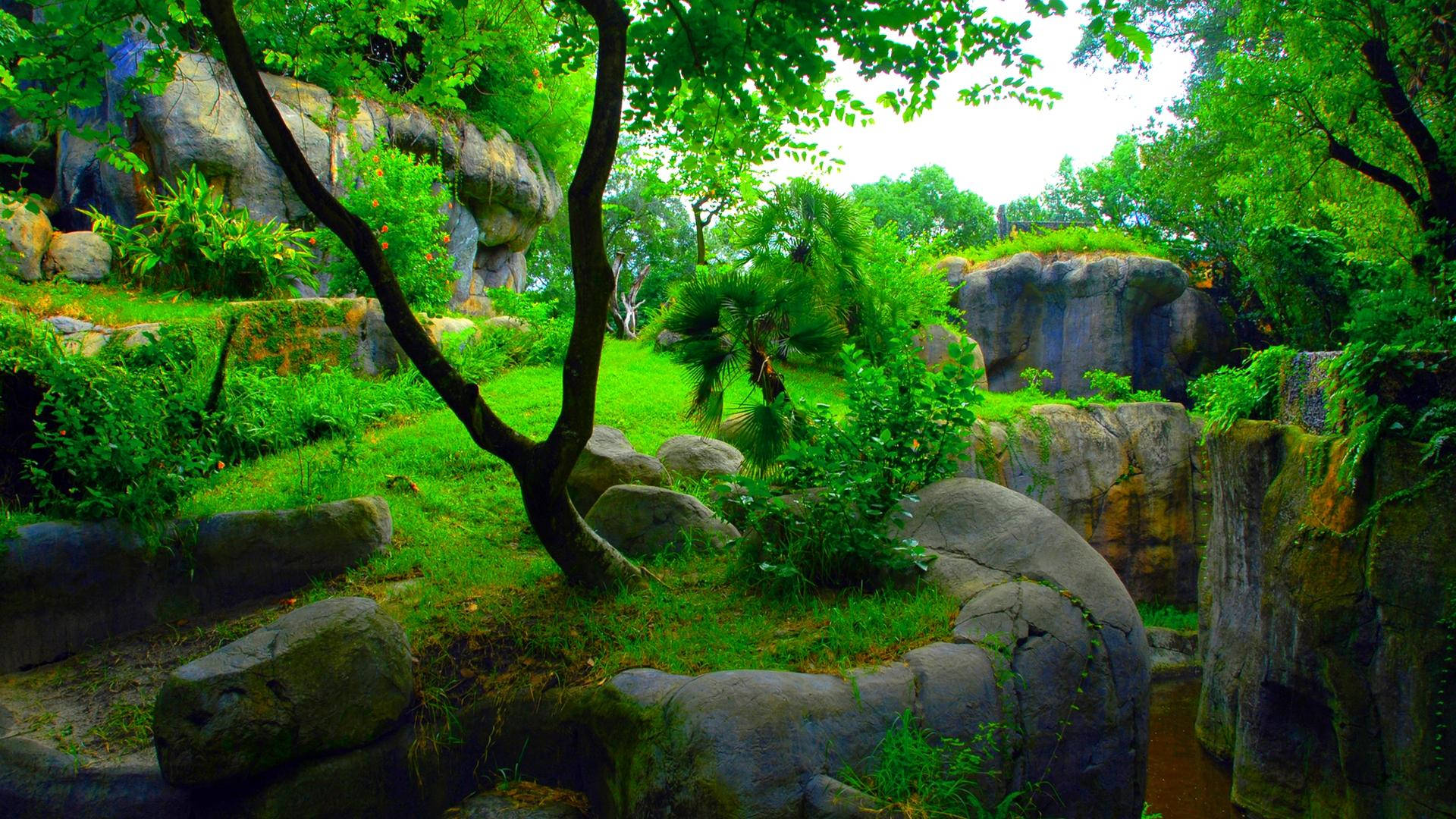 Green Garden Landscape Background