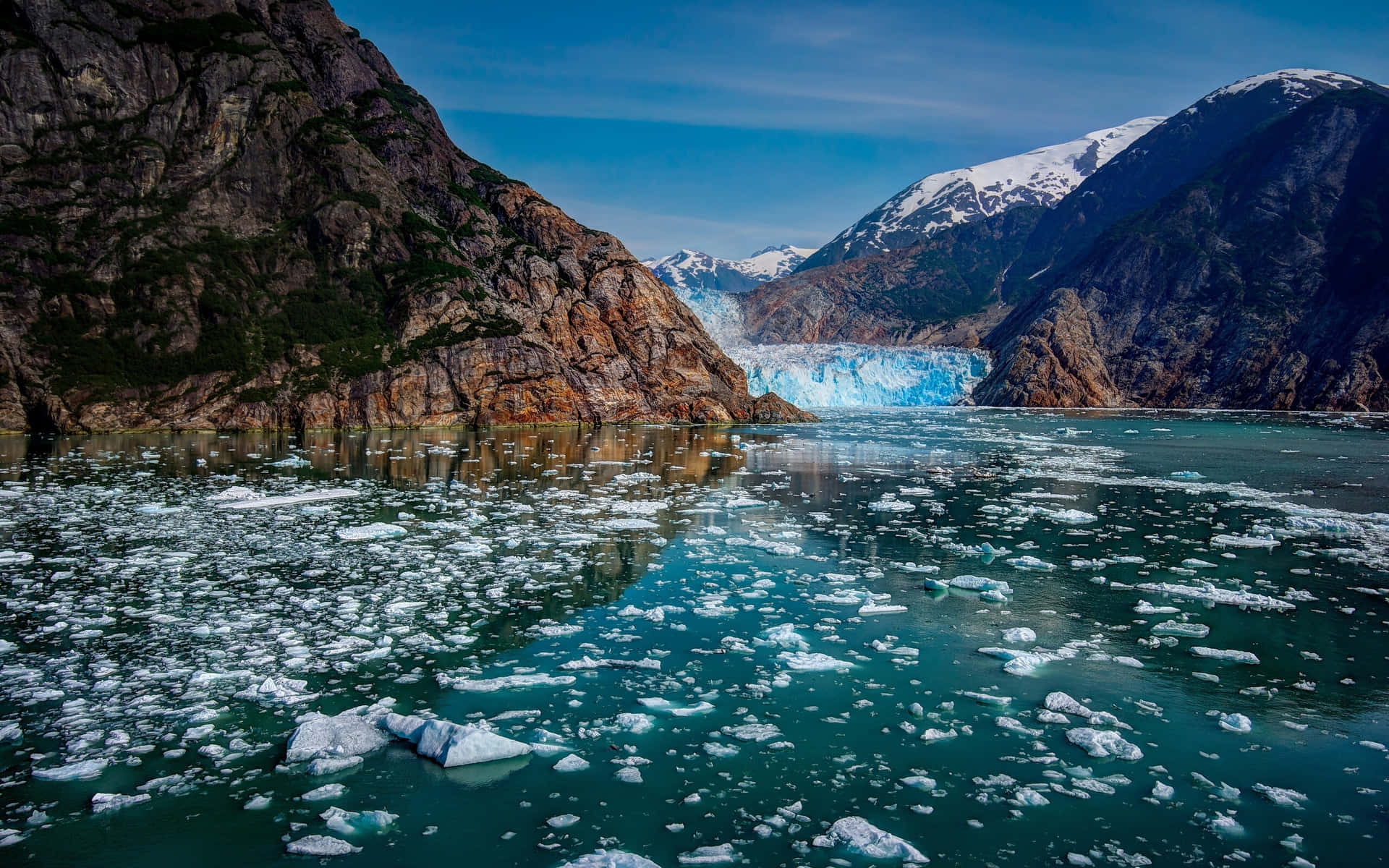 Green Glacier Bay National Park
