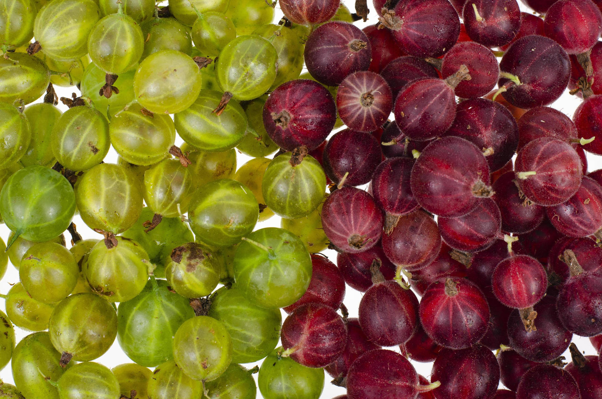 Green Gooseberry Red Gooseberry Background