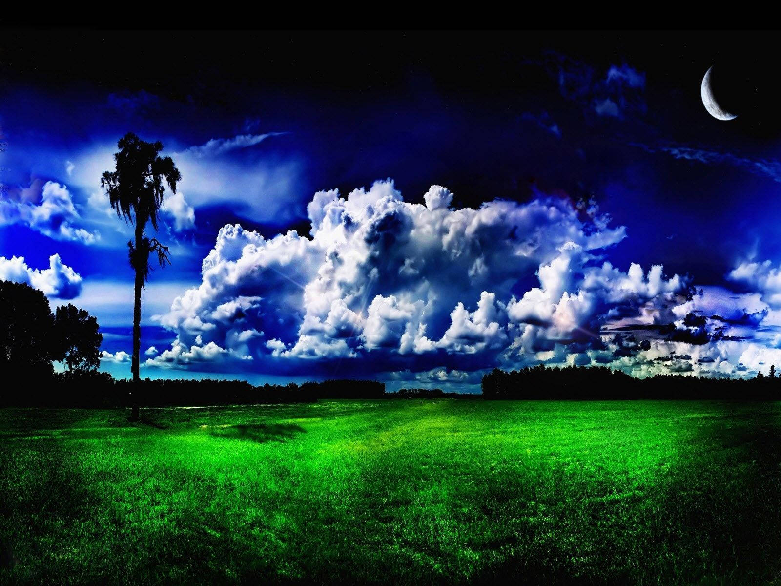 Green Grass Under Sky All Best Background