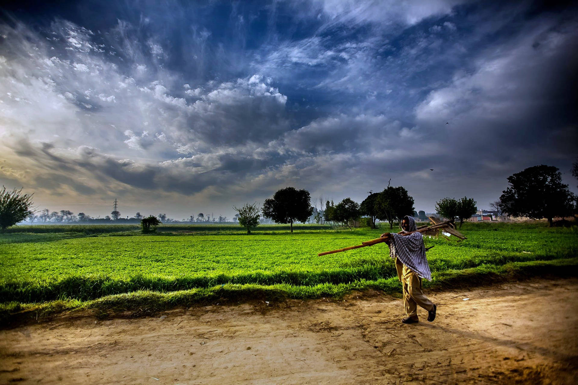 Green Grassland Agriculture Background