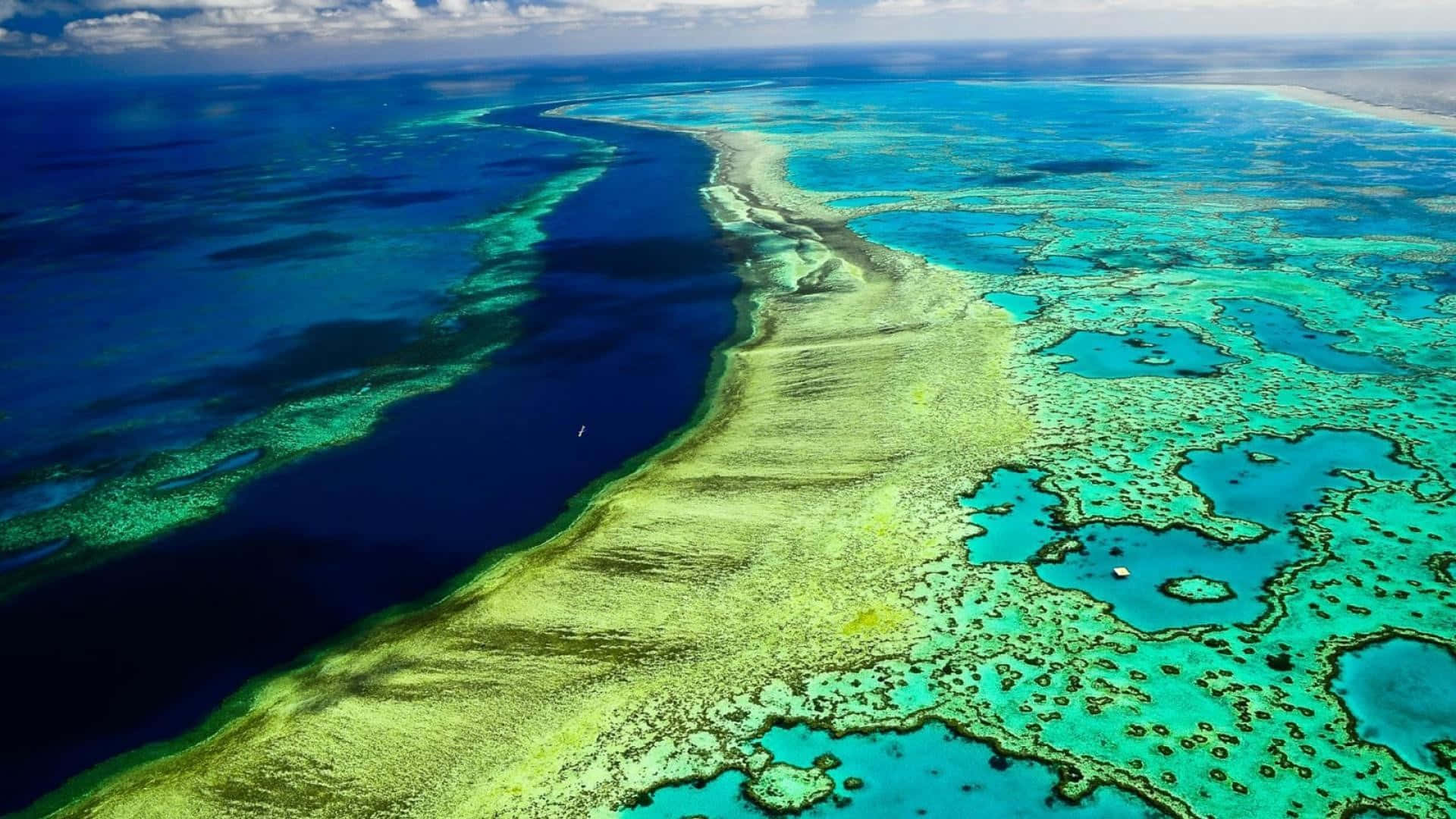 Green Great Barrier Reef Marine Park Authority Background