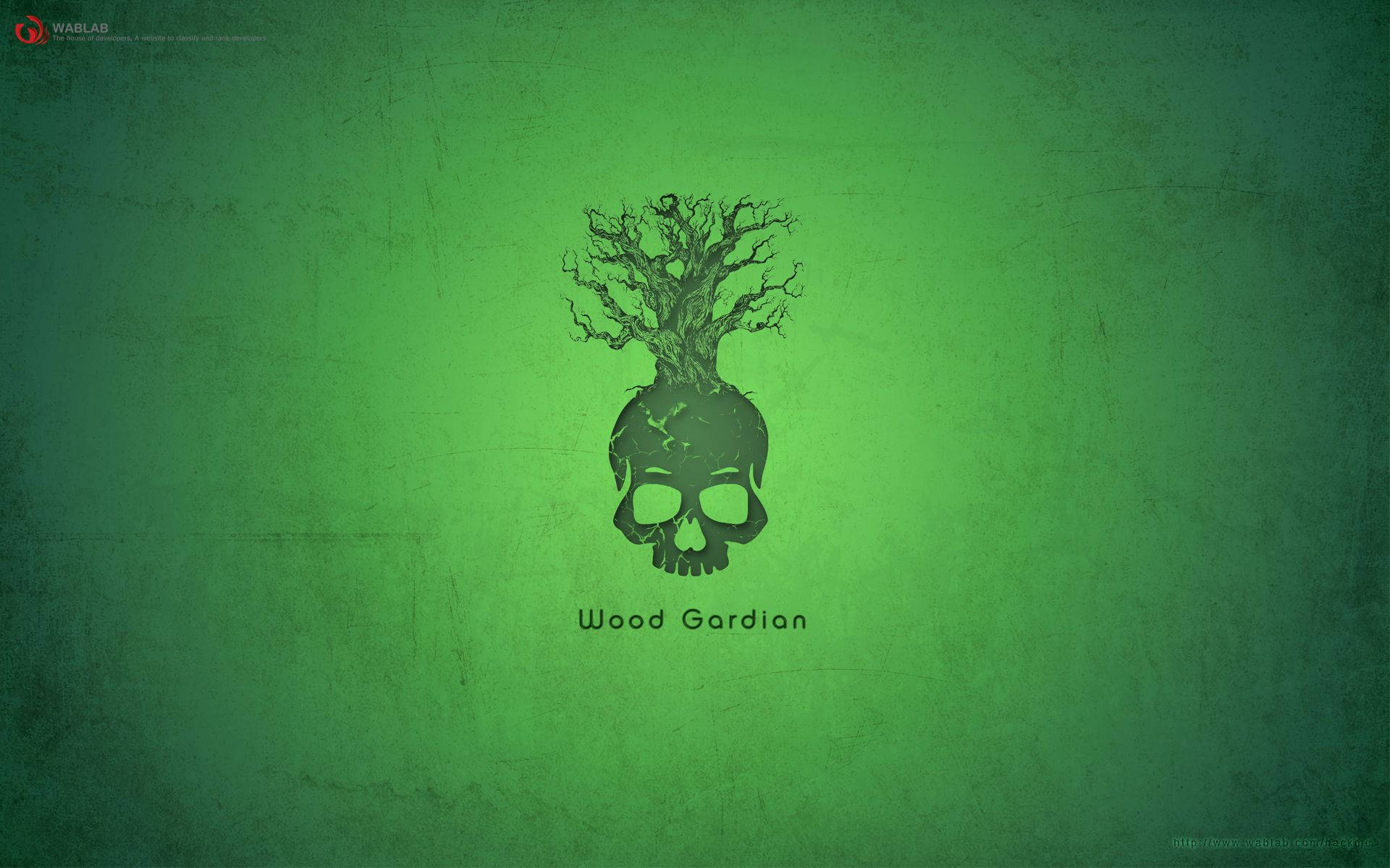 Green Hacker Skull Background