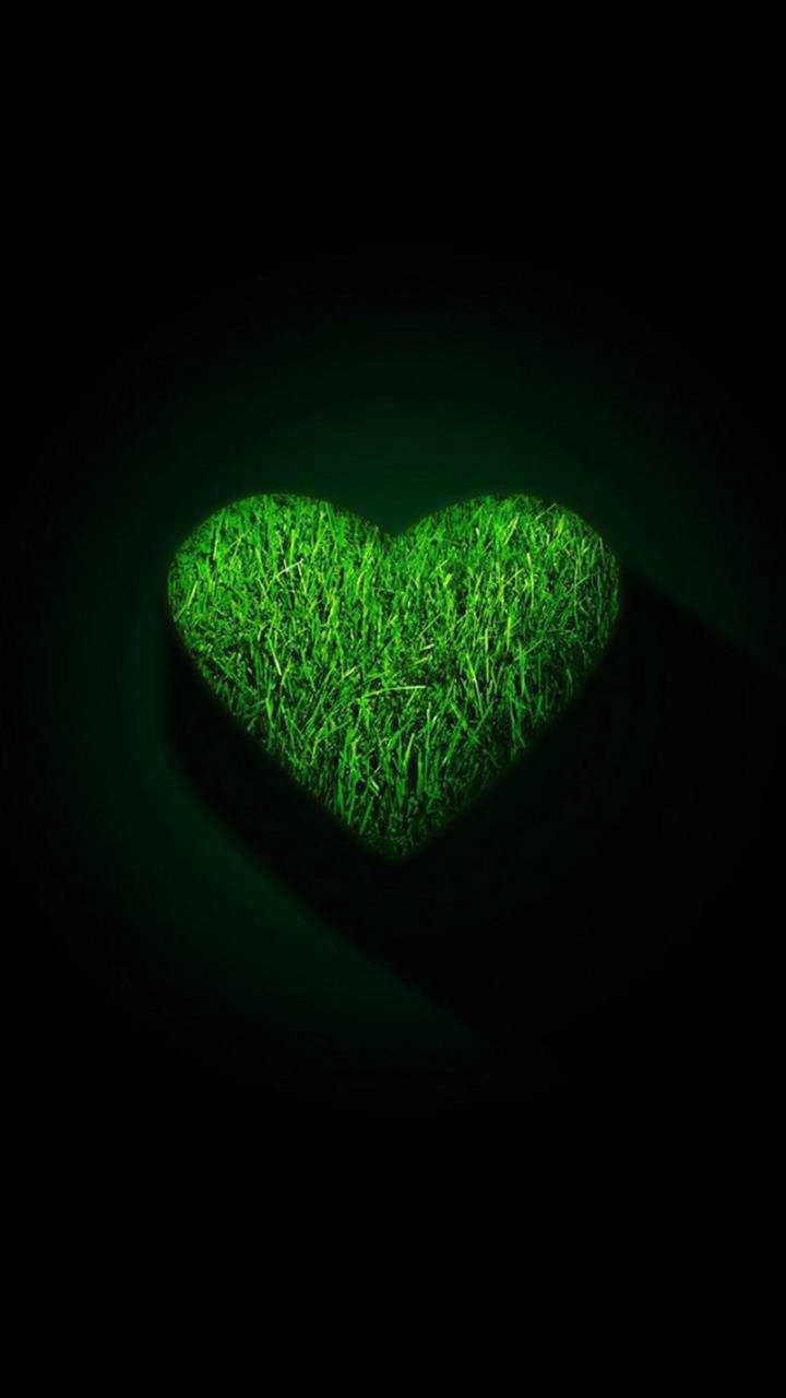 Green Heart Grass Background