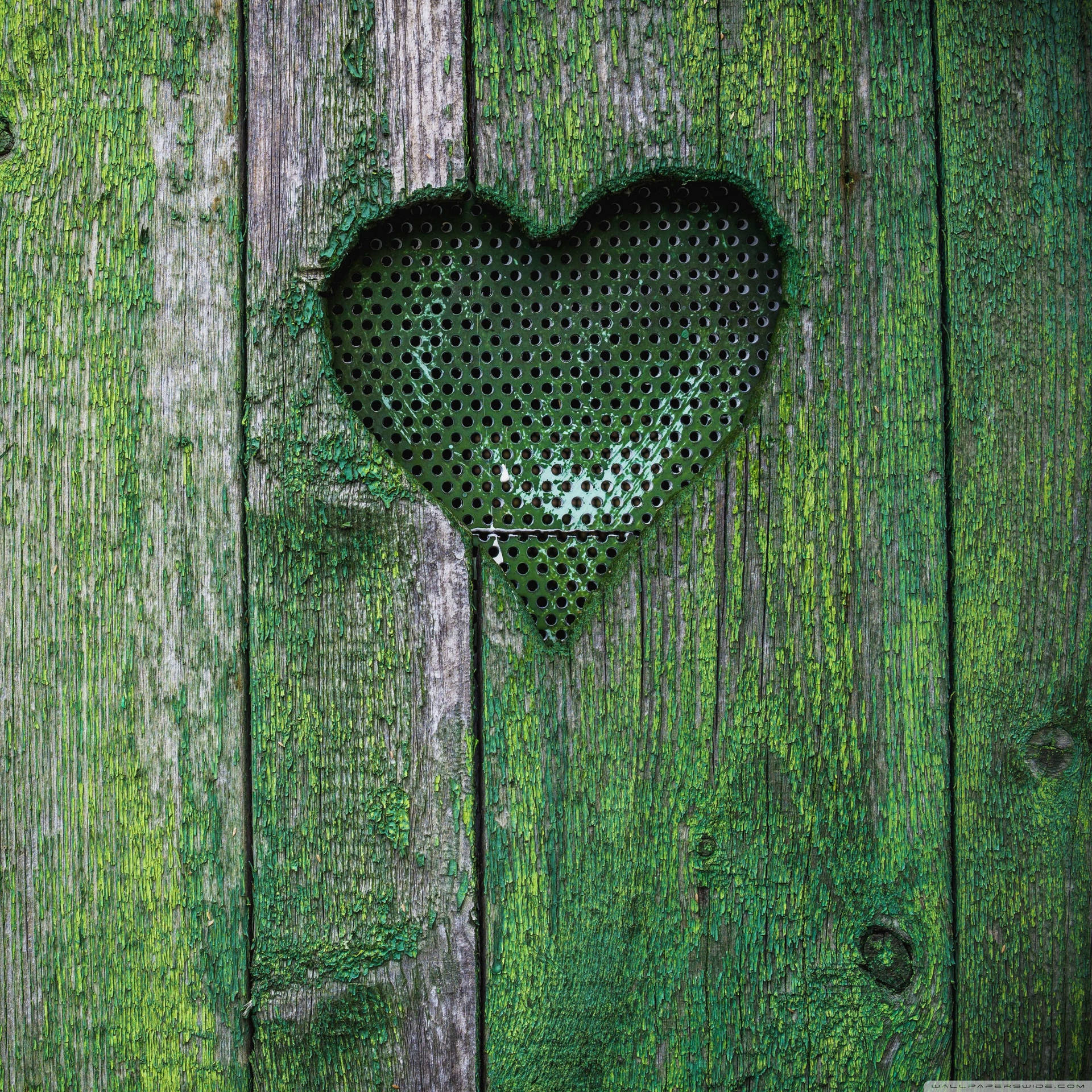 Green Heart Mossy Background