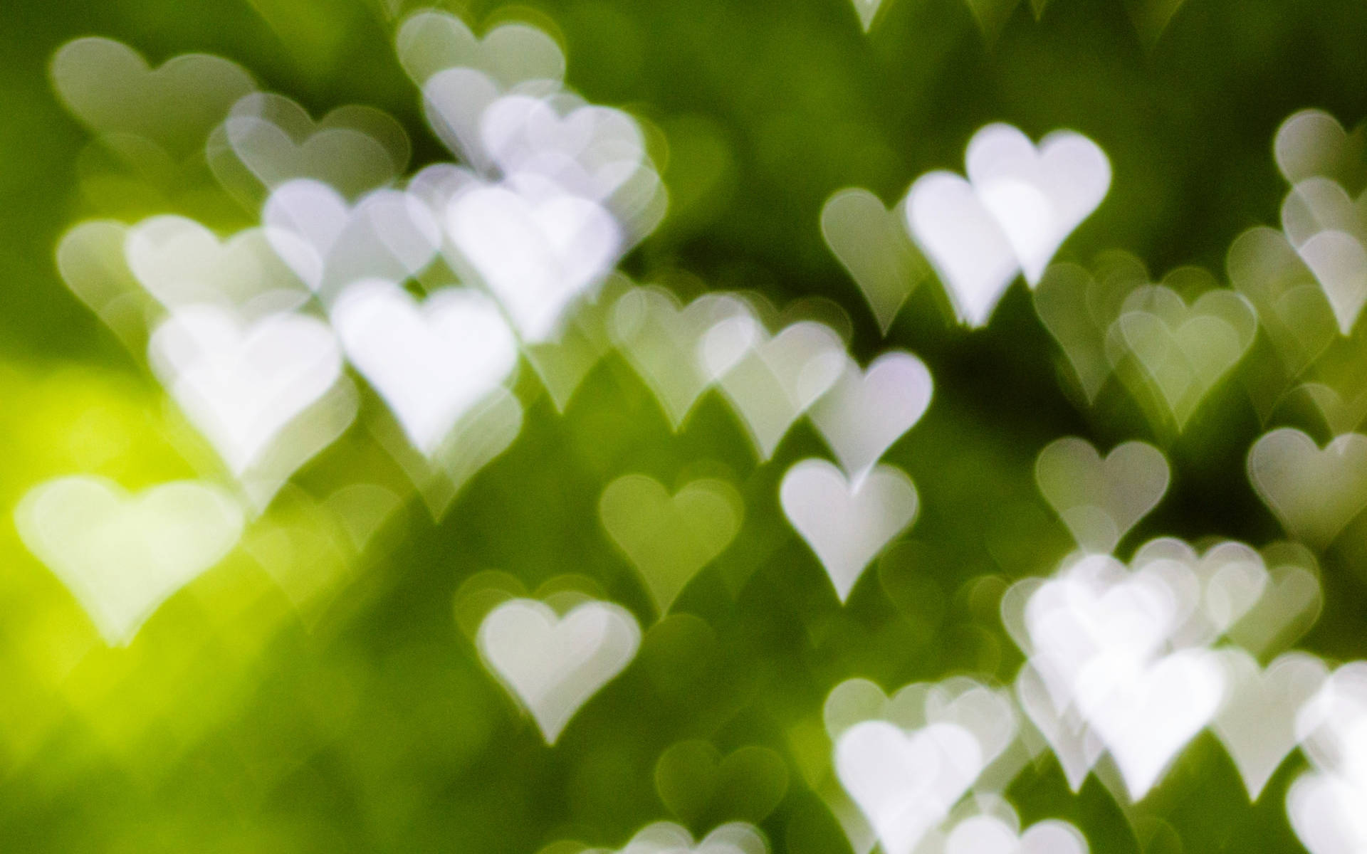 Green Hearts Blurry Background