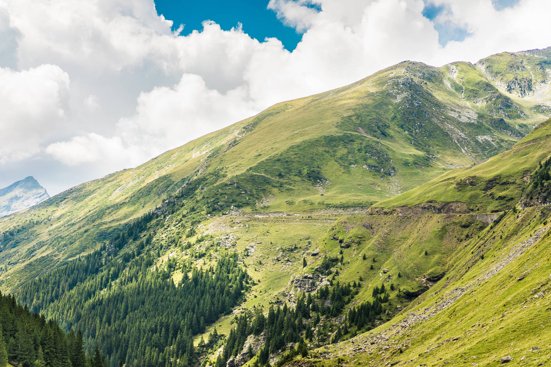 Green Hill Most Beautiful Nature Background