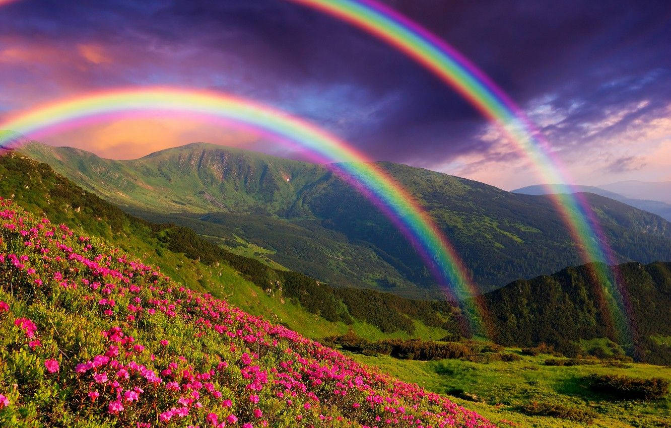 Green Hill Twin Rainbows Background