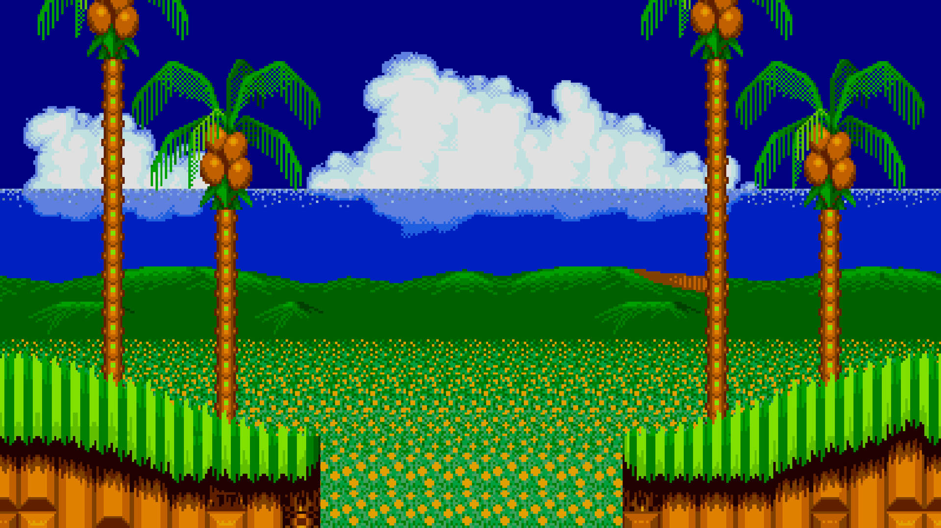 Green Hill Zone With Coconut Trees Background