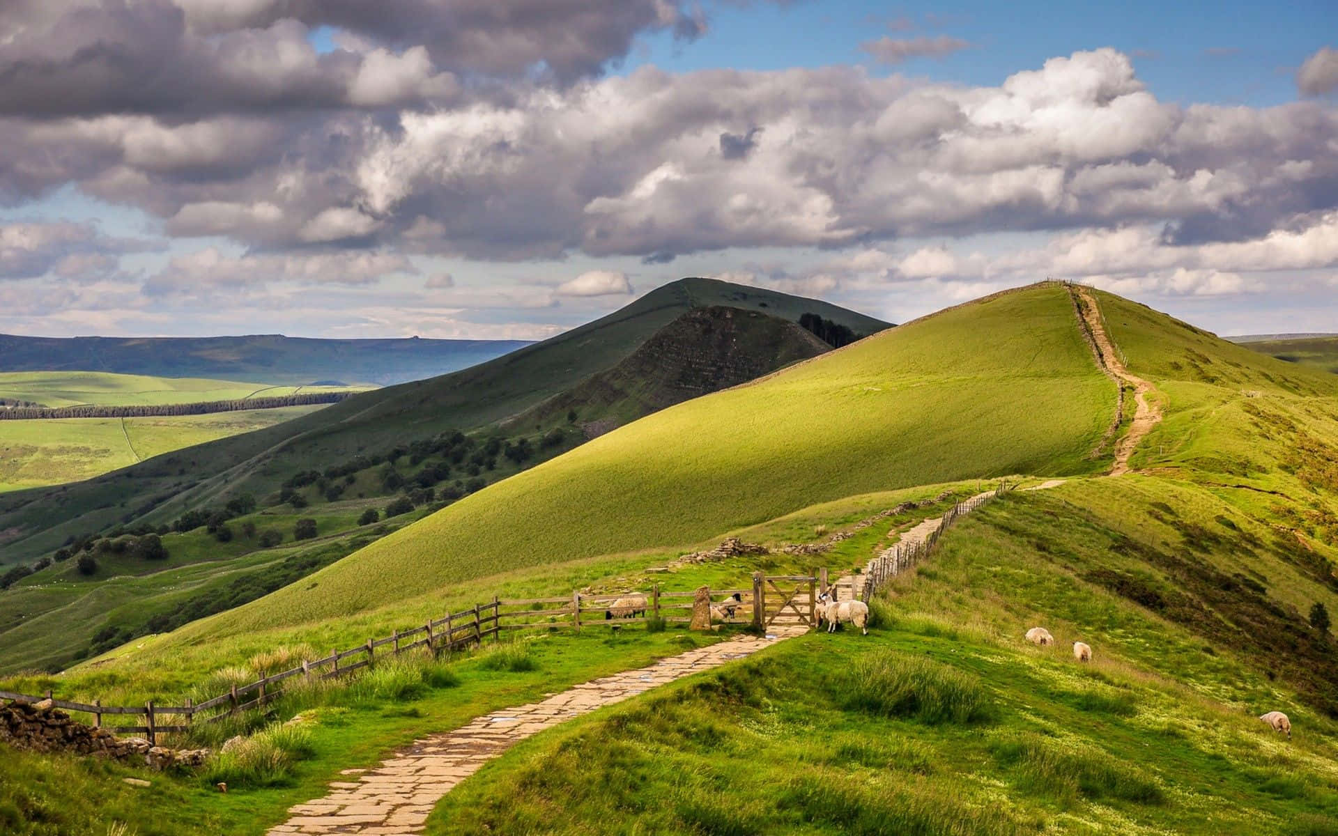 Green Hillside Country Road Background