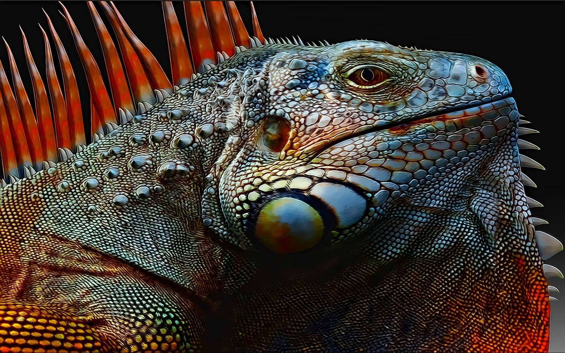 Green Iguana With Orange Crest