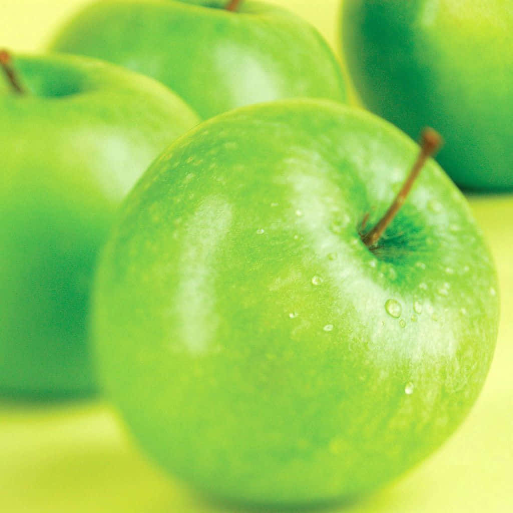 Green Ipad [wallpaper] Background