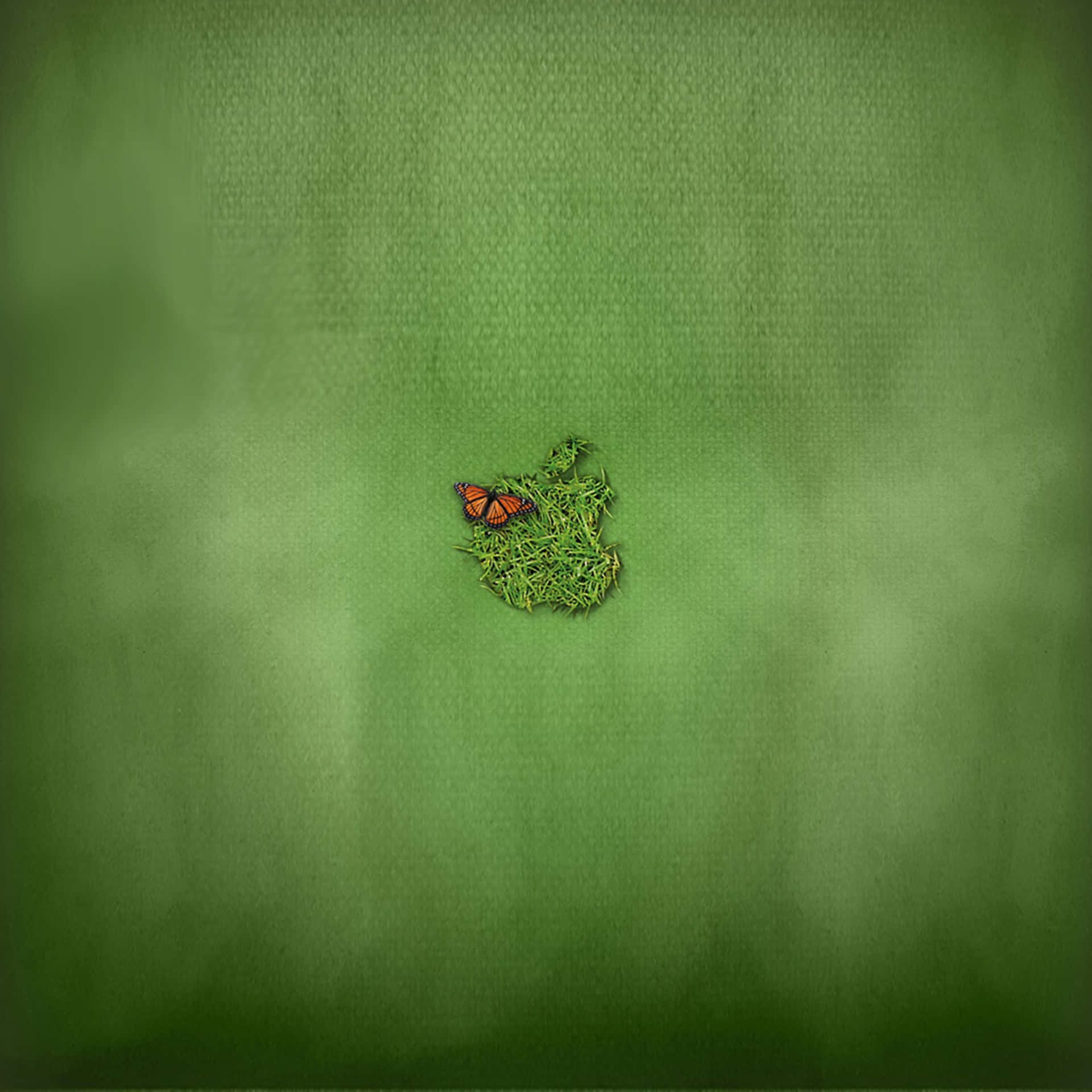 Green Ipad [wallpaper] Background