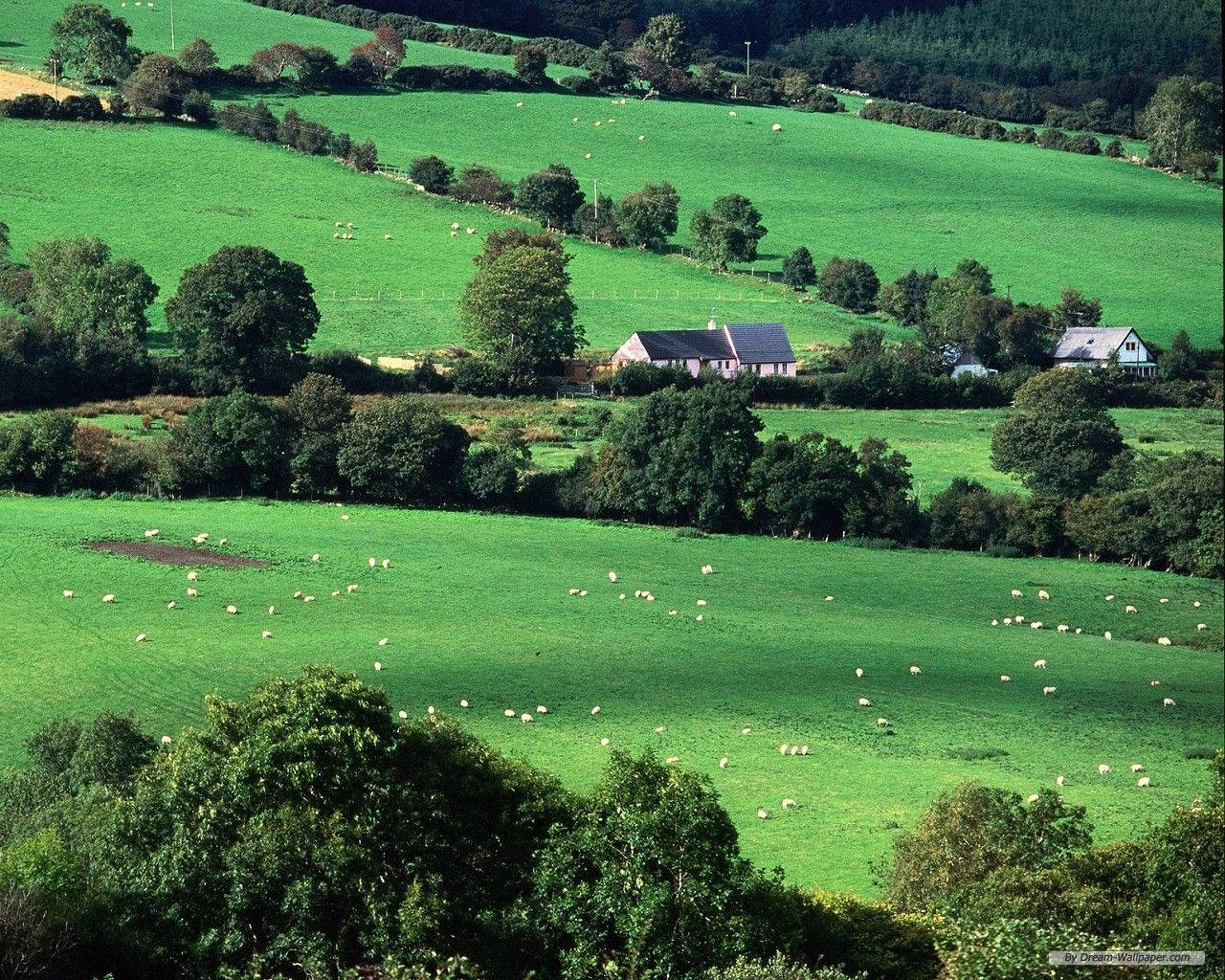 Green Irish Countryside Ireland Background
