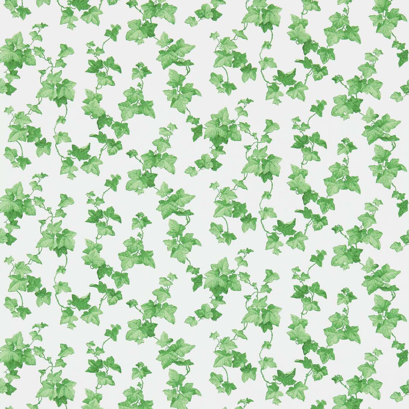 Green Ivy Pattern Background Background