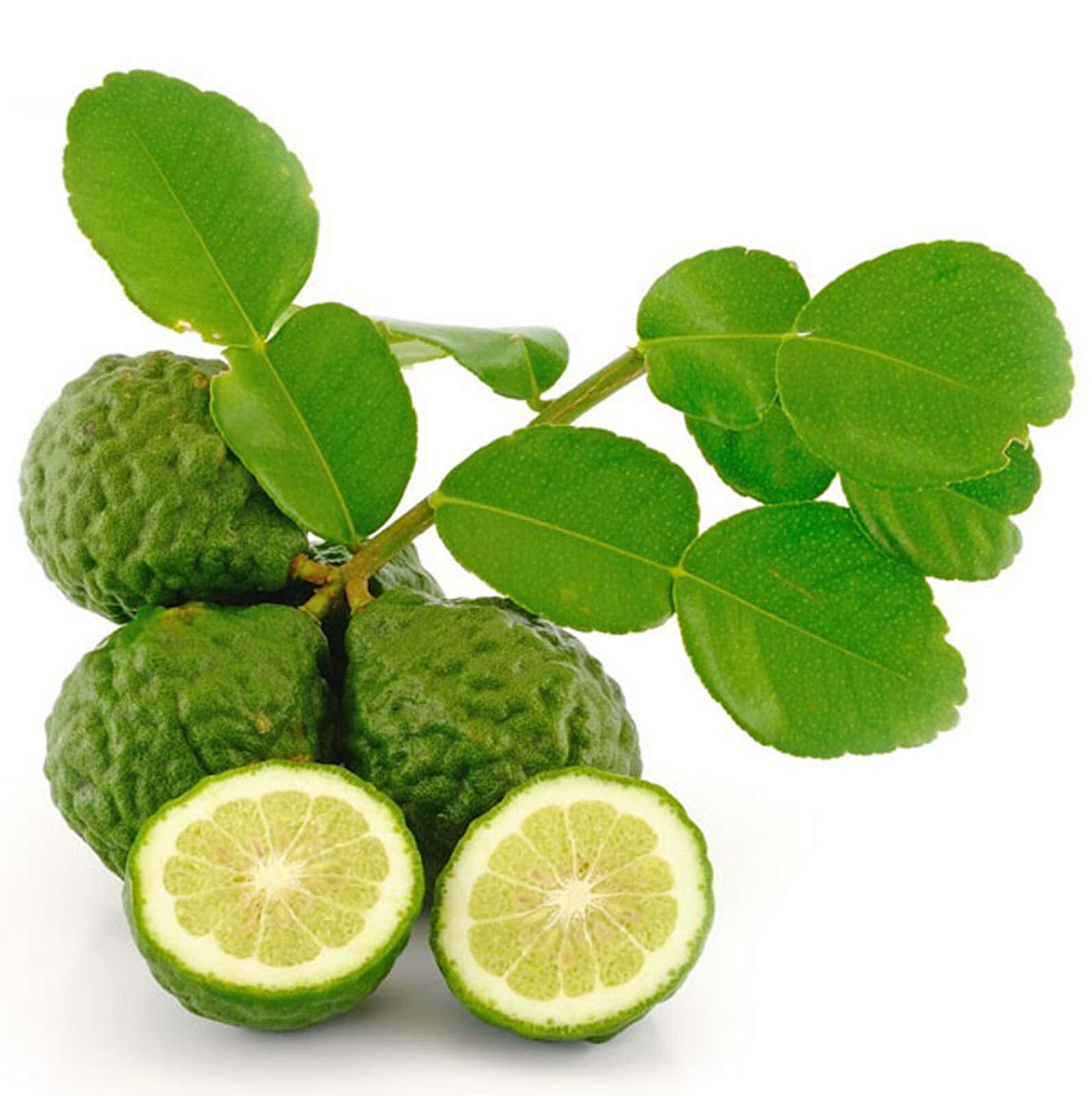 Green Kaffir Lime Tropical Fruit Background
