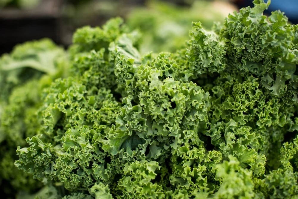 Green Kale Food Background