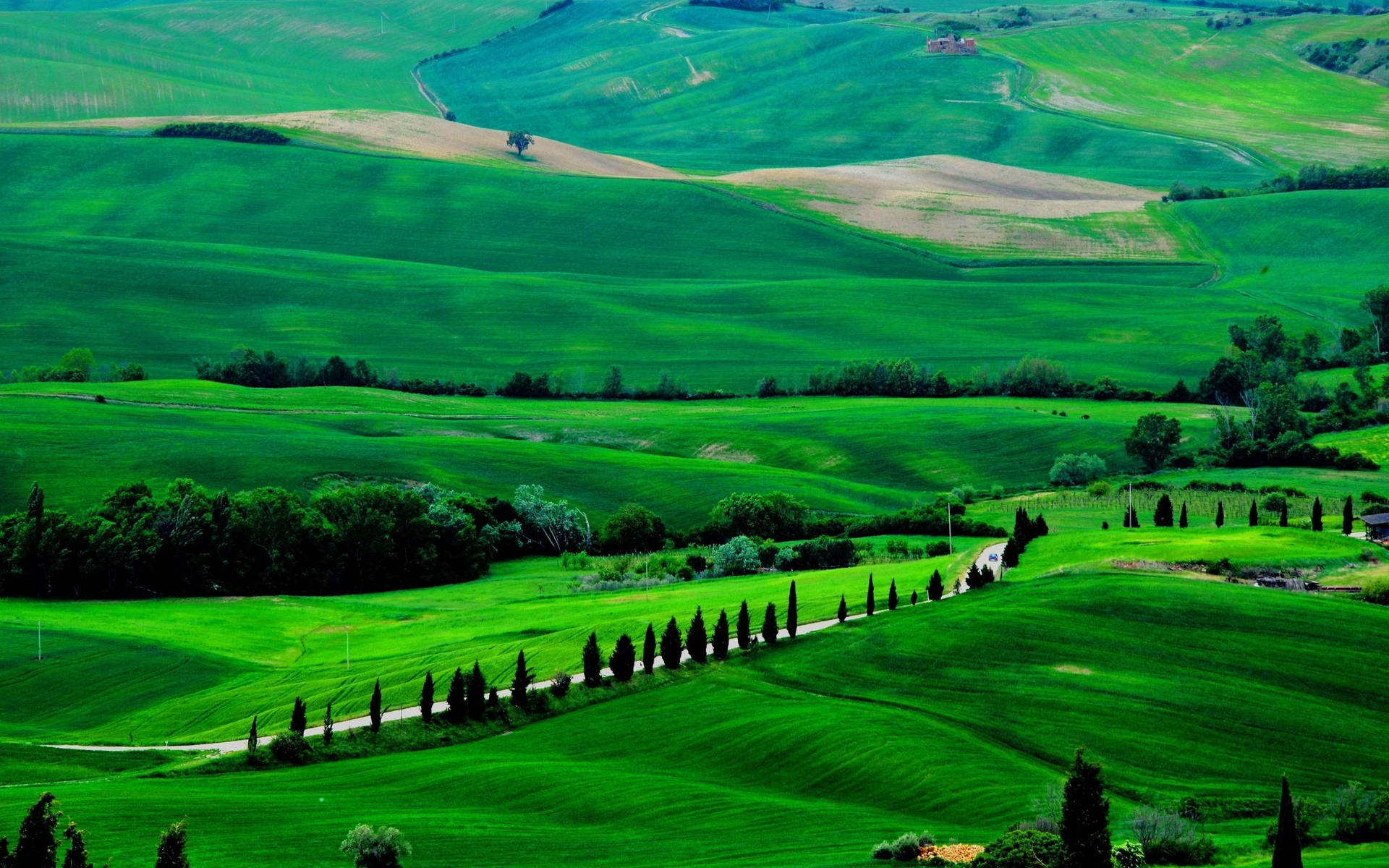 Green Landscape Of Tuscany Italy