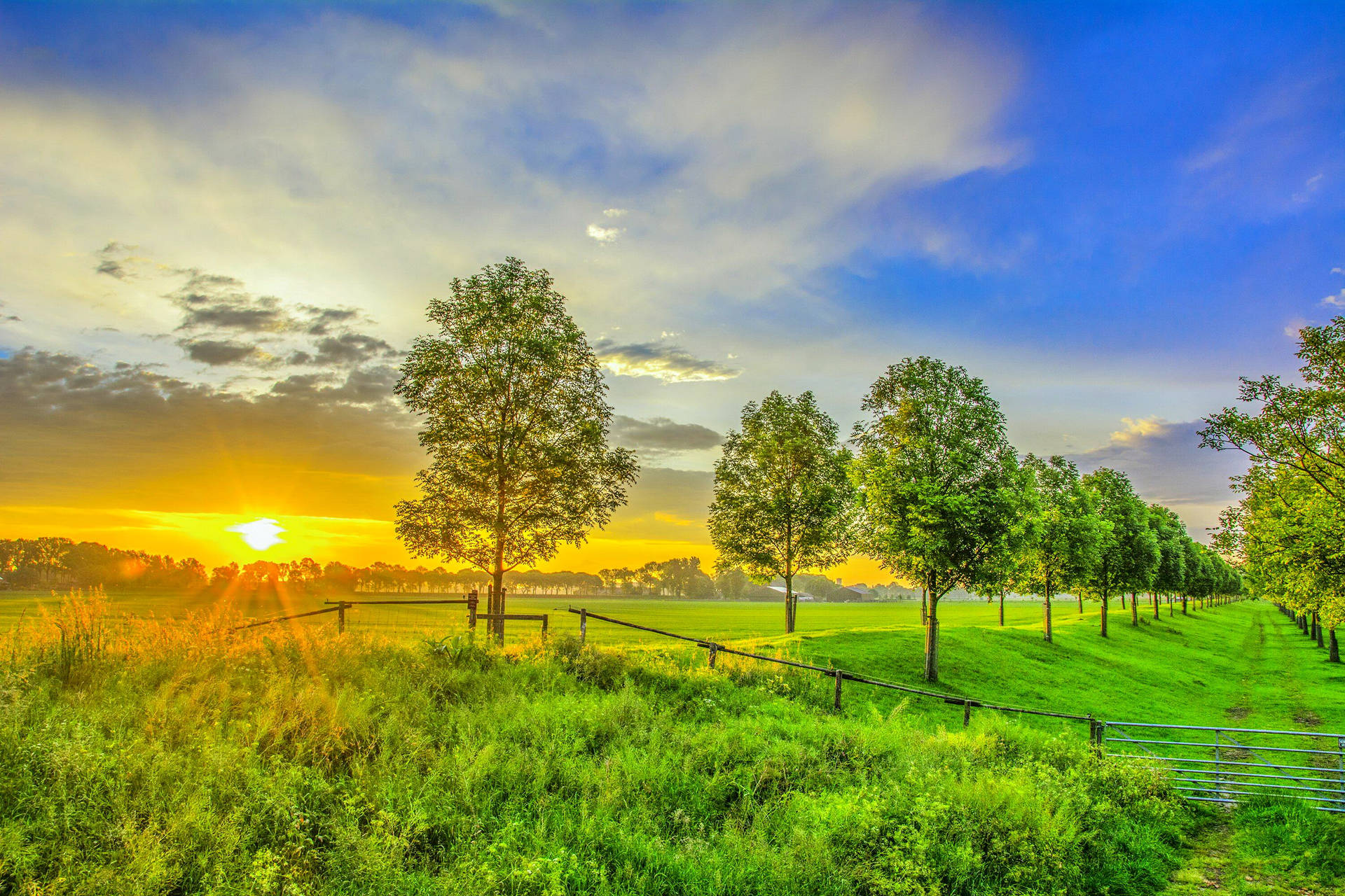 Green Landscape Sunset Desktop