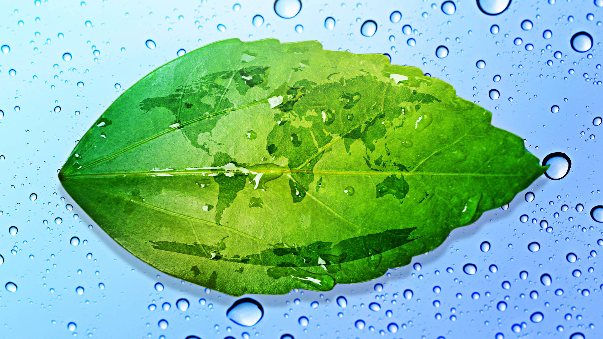 Green Leaf Raindrops Background Background