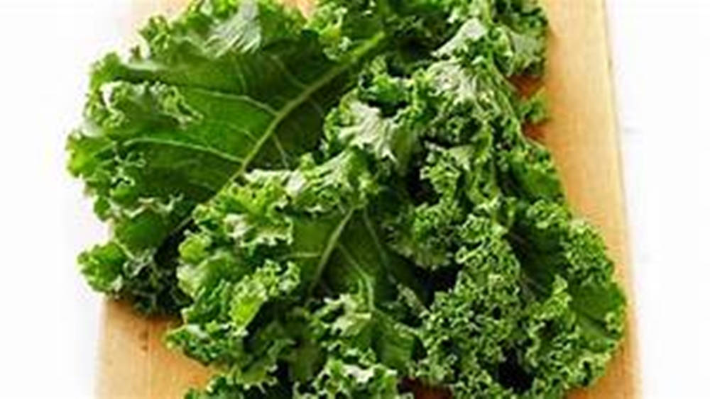 Green Leafy Kale Background