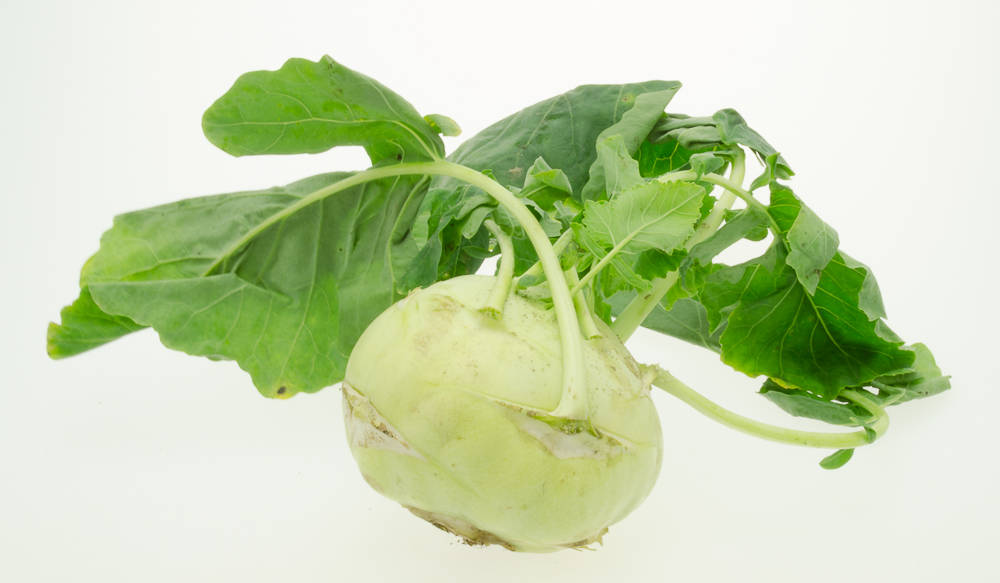 Green Leafy Kohlrabi