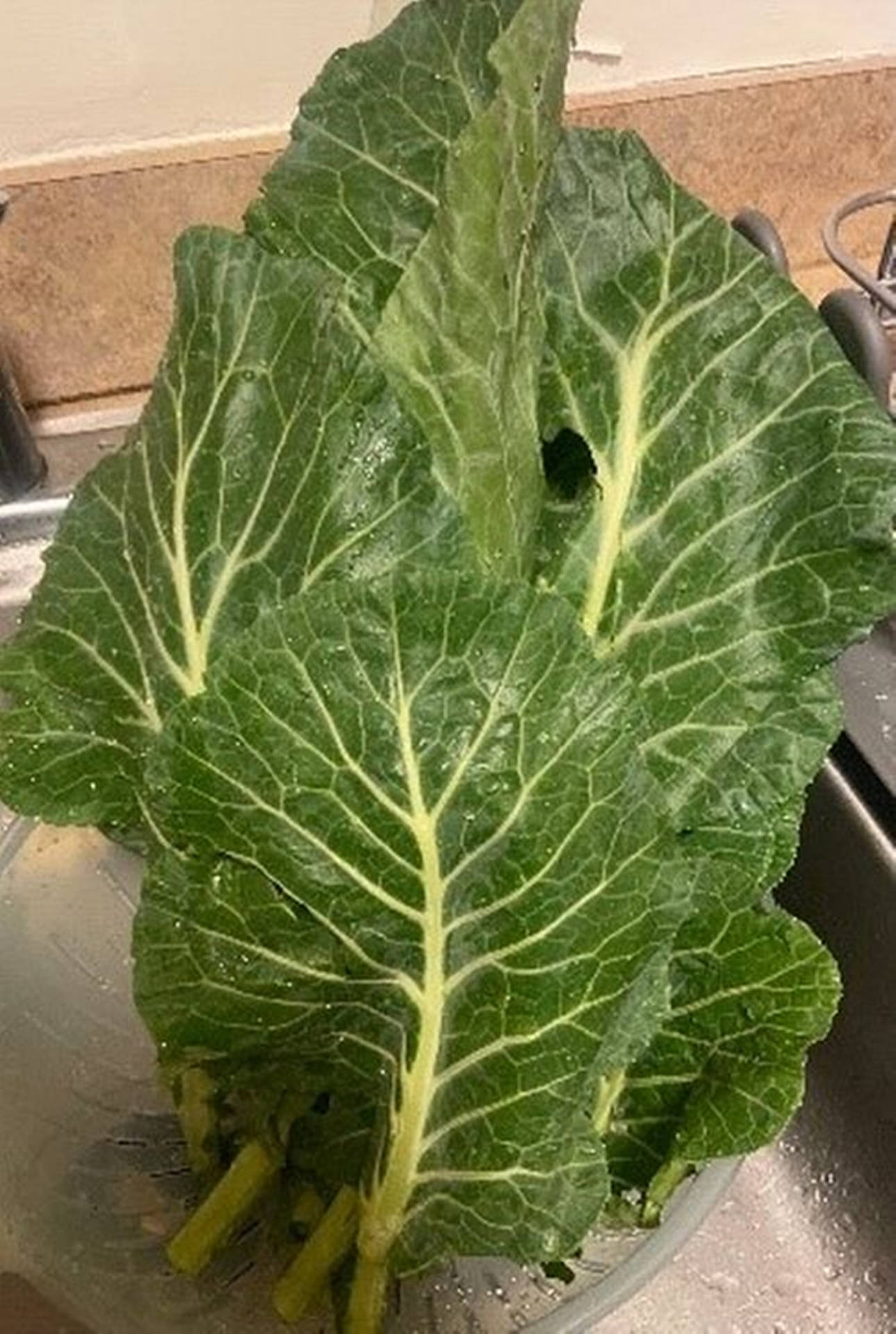 Green Leafy Vegetable Collard Greens Background