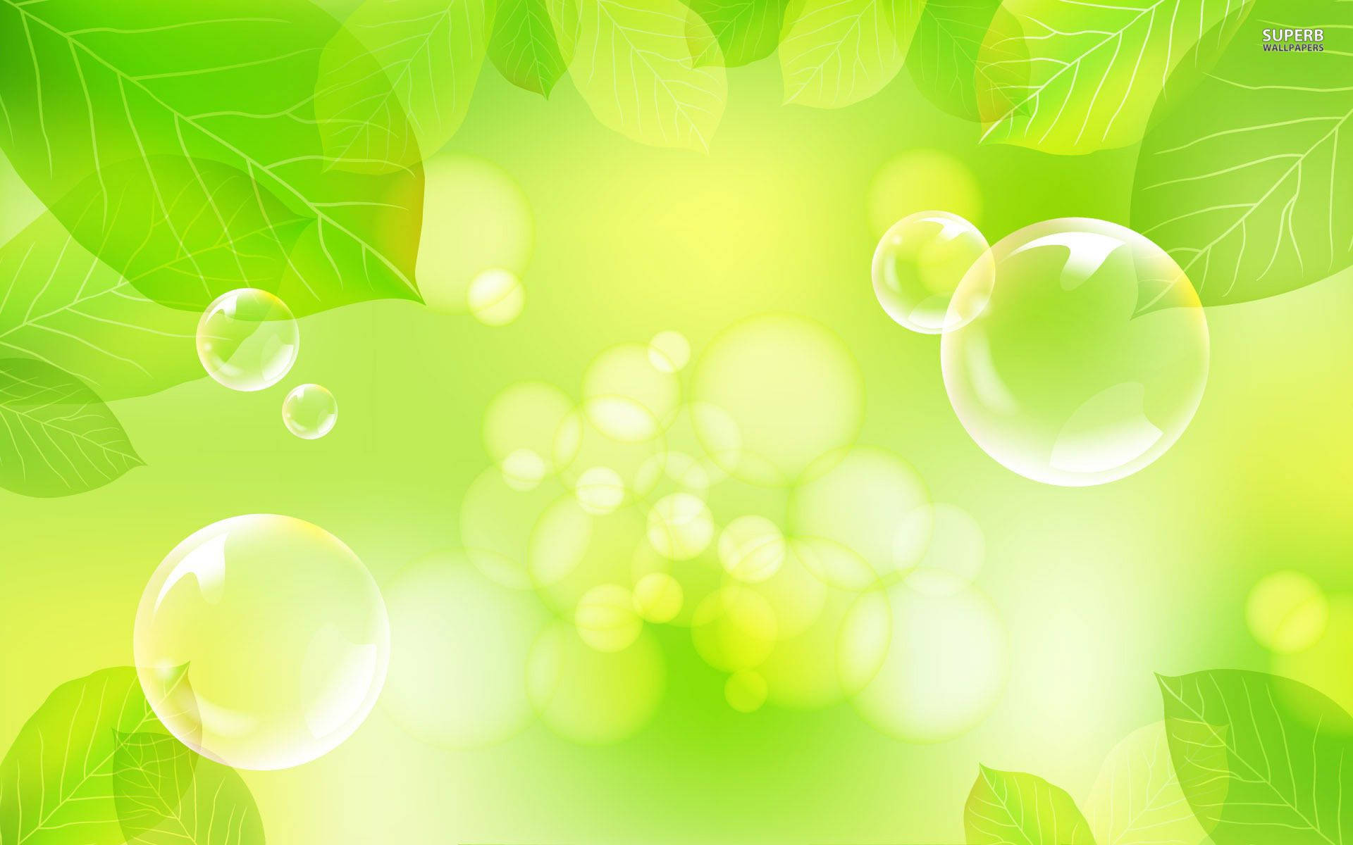 Green Leaves And Bubbles Background