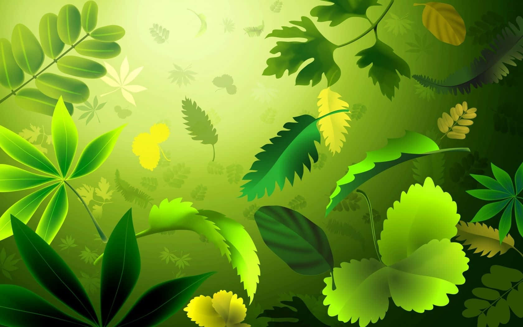 Green Leaves And Leaves In The Background Background