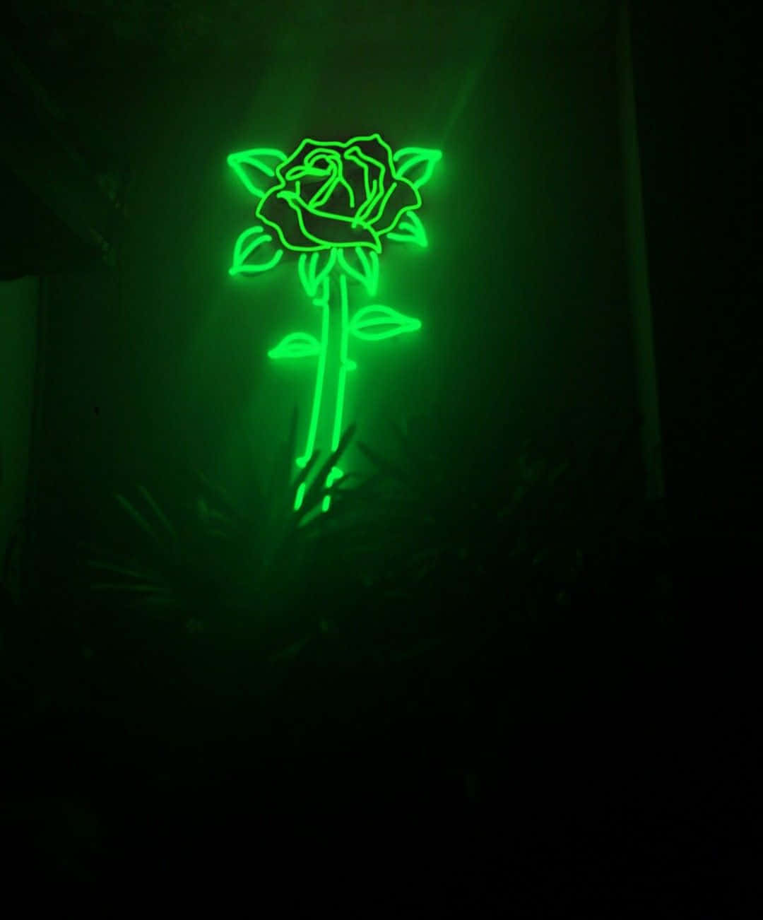 Green Led Flower Dark Background