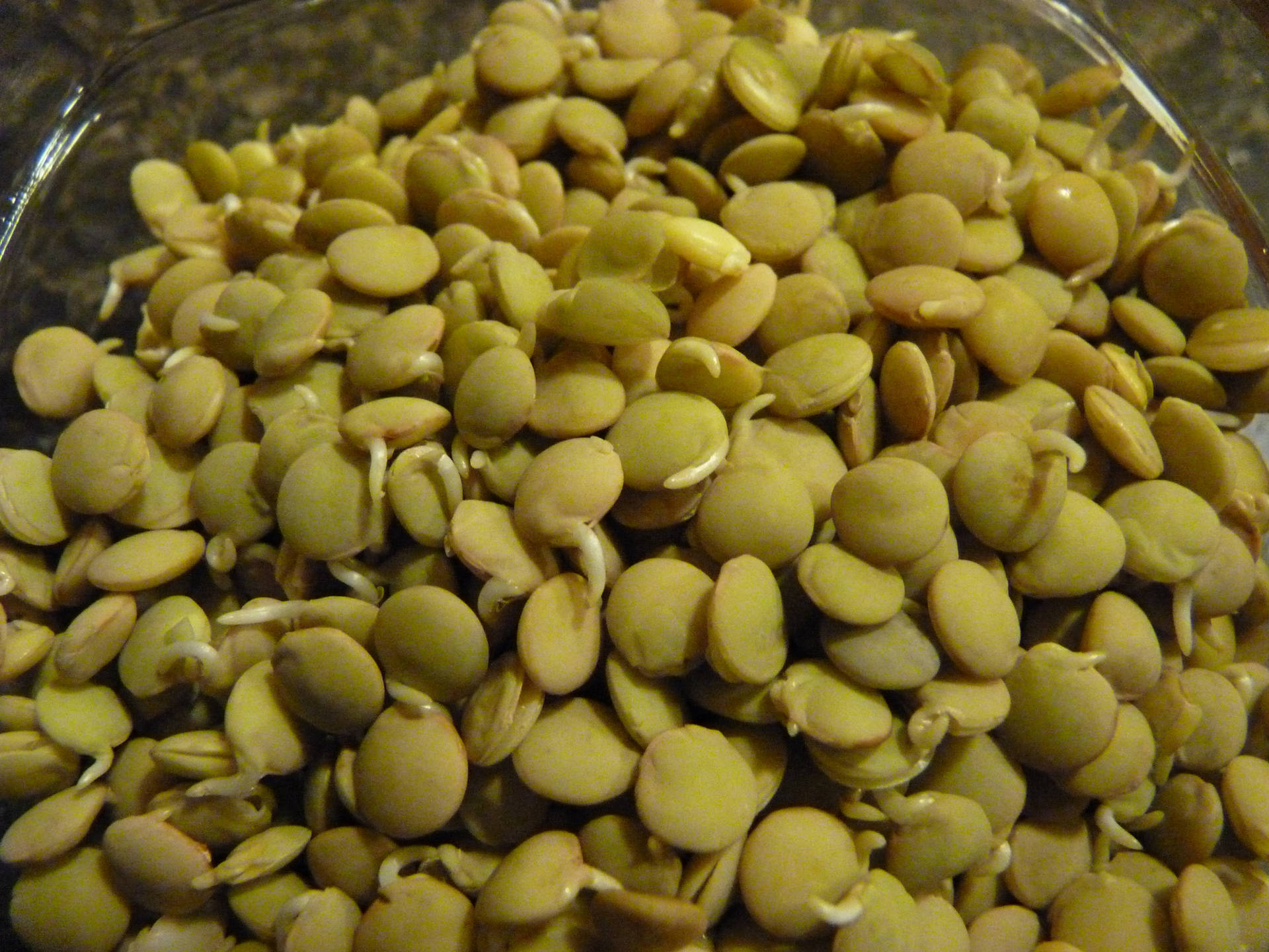 Green Lentils In Glass Bowl