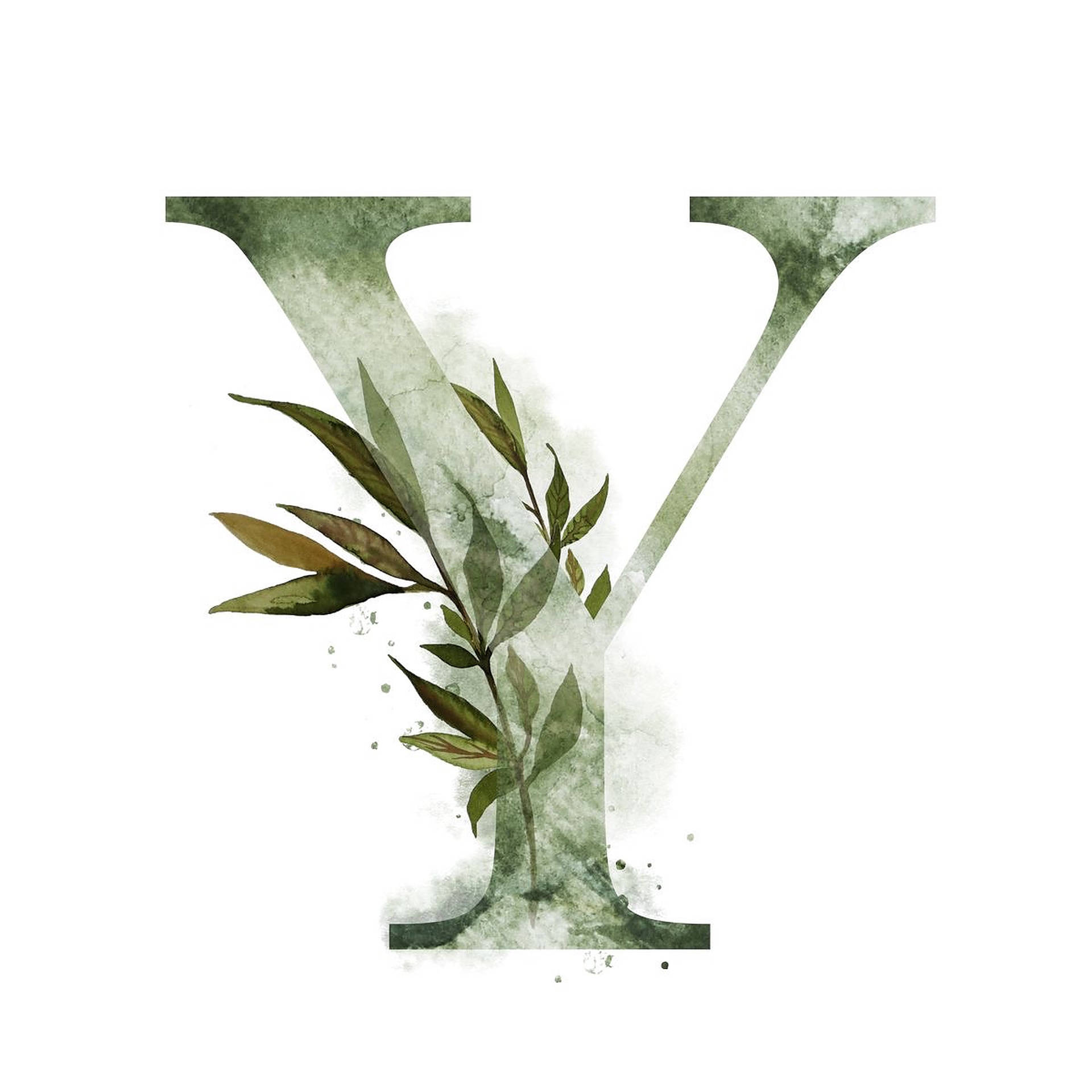 Green Letter Y Background