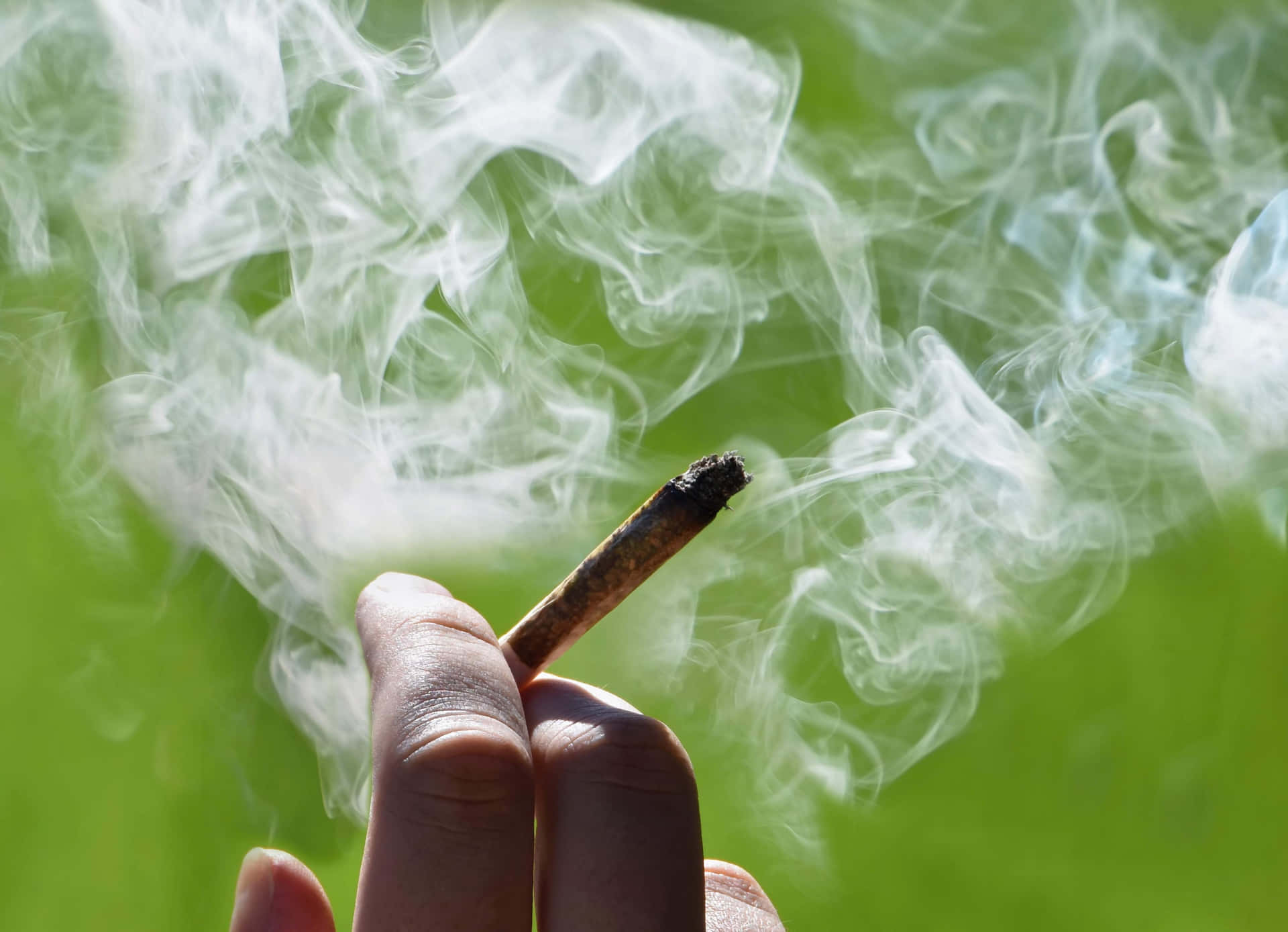 Green-life: Smoking A Freshly Rolled Weed Blunt Background