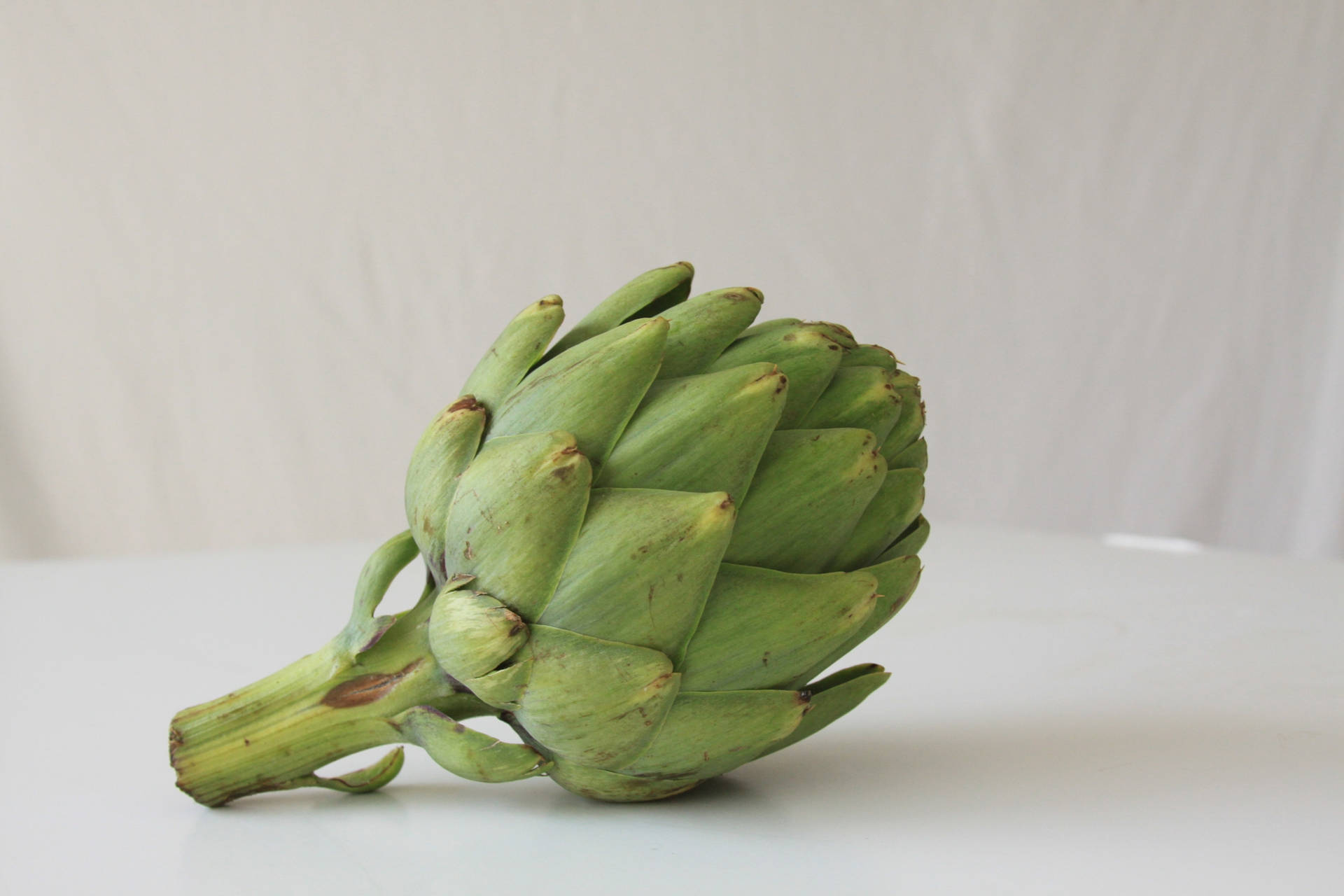 Green Lone Globe Artichoke Vegetable Background