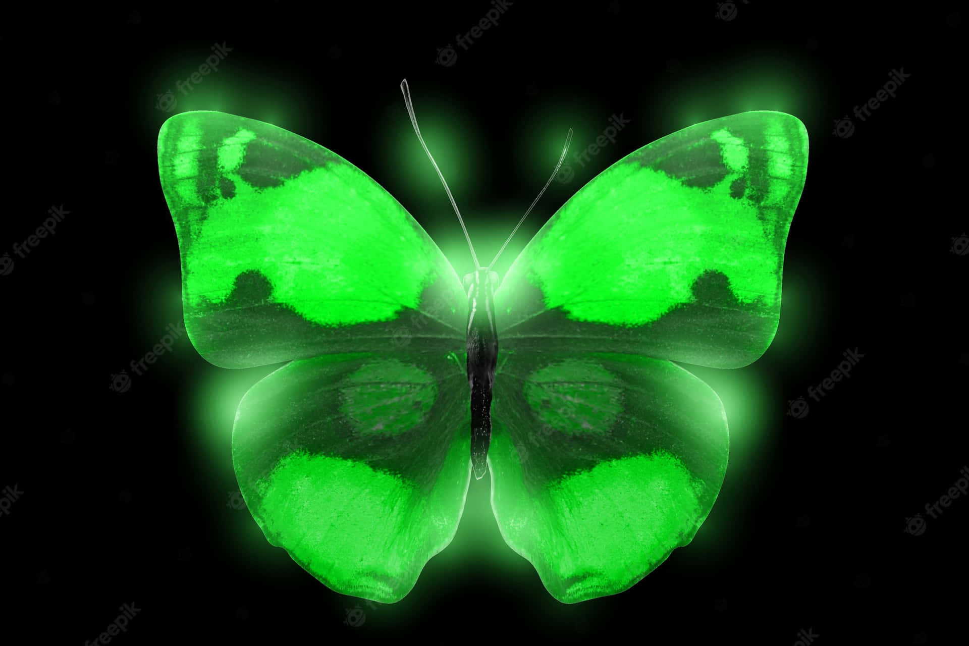 Green Luminous Butterfly Background