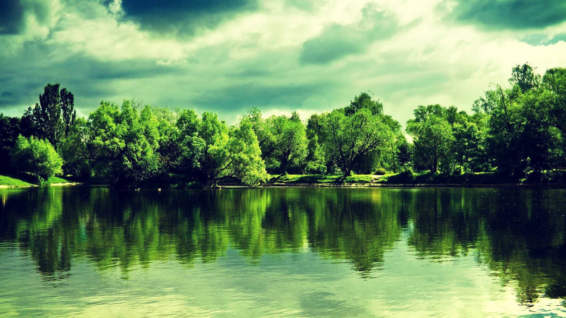 Green Lush Lake 1080p Hd Desktop Background