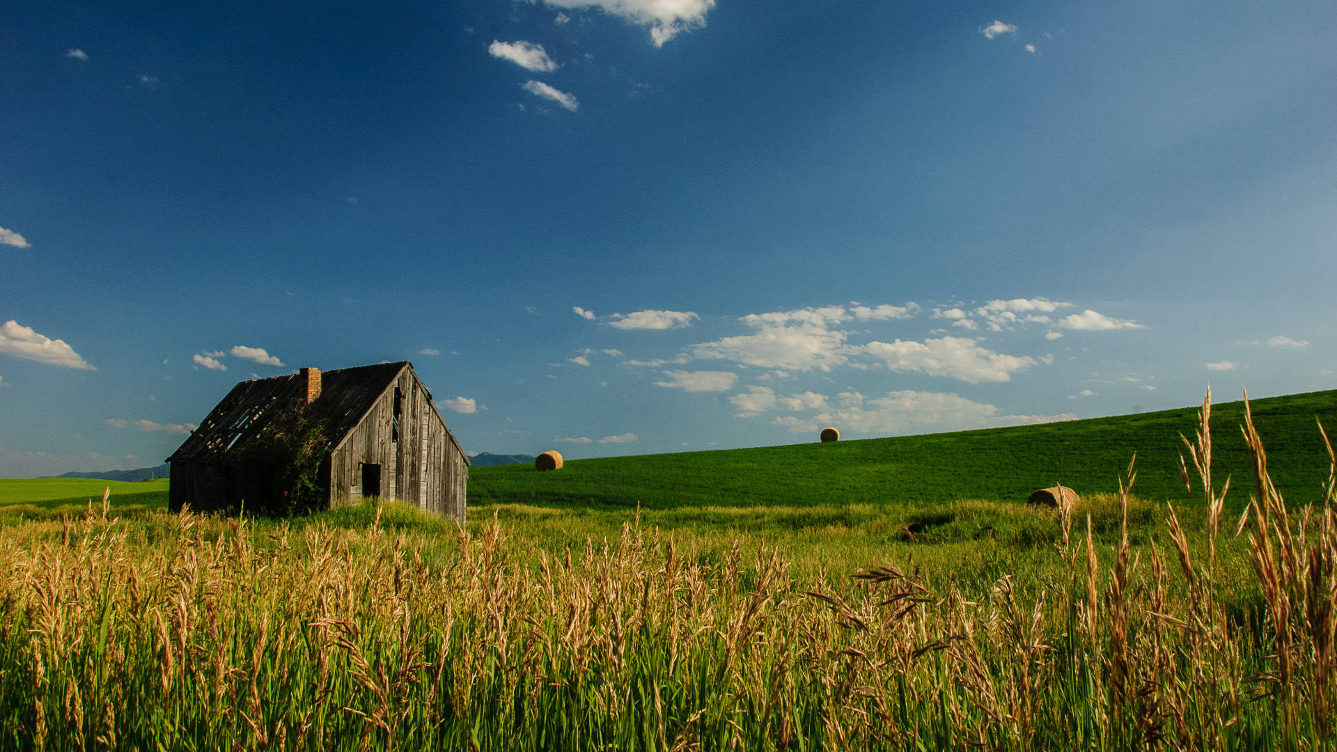 Green Meadows In Idaho Background