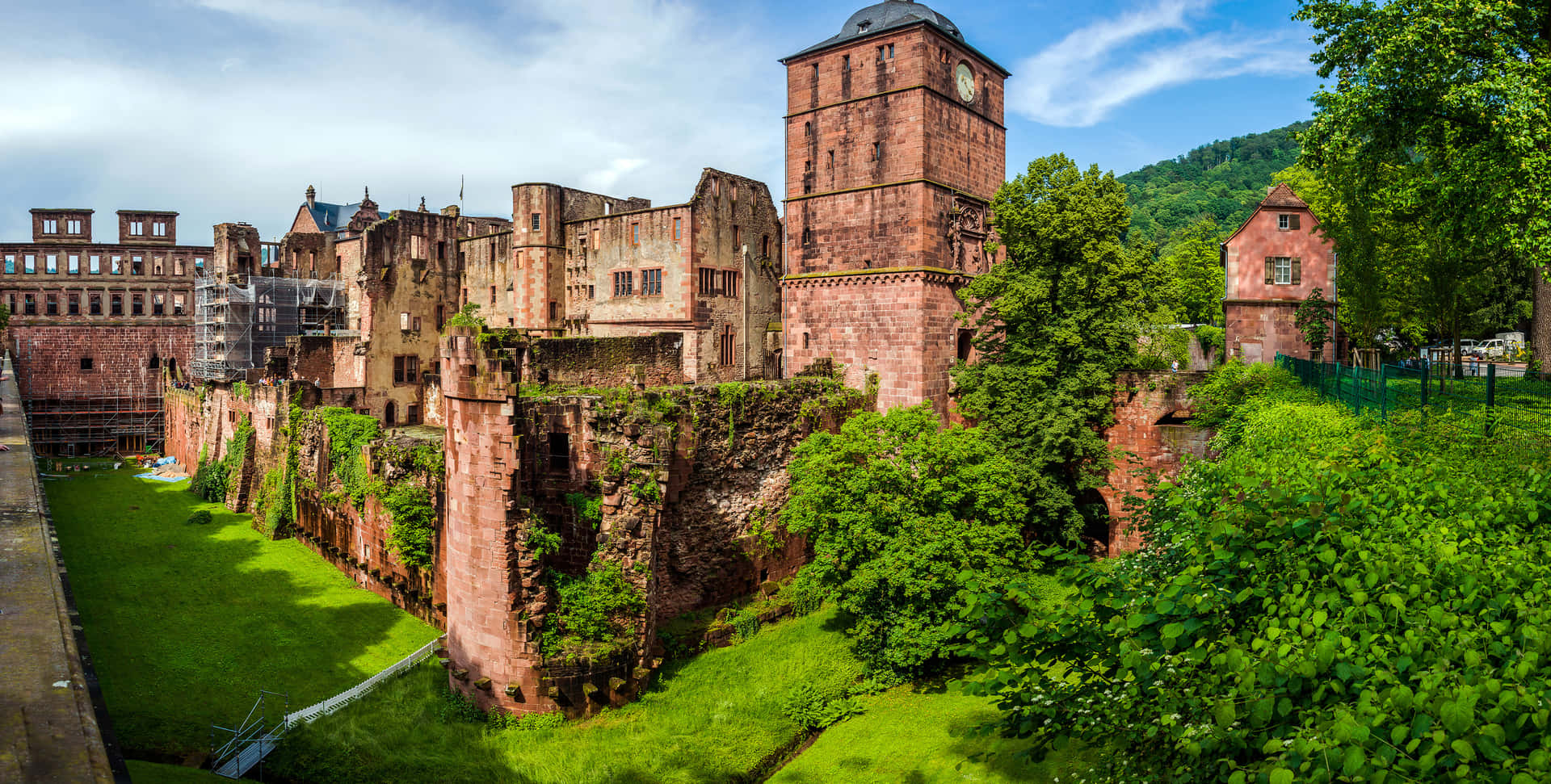 Green Moss Of Heidelberg Castle