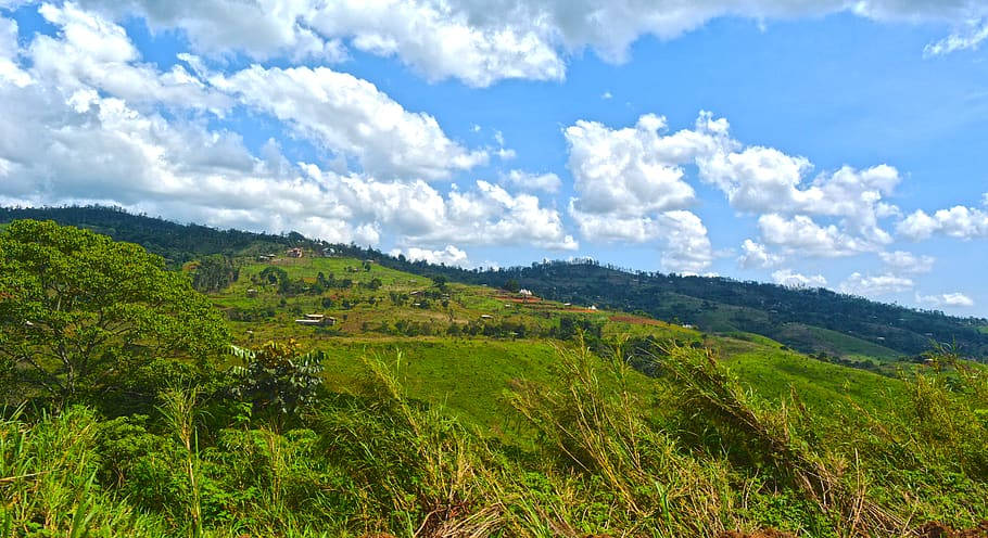 Green Mountain Field In Cameroon Blue Sky Background