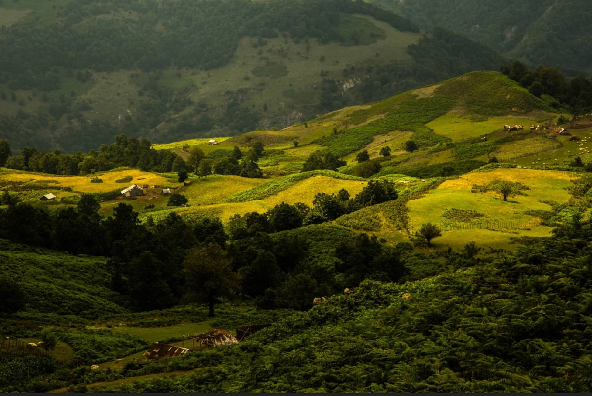 Green Mountain Fields In Iran Background