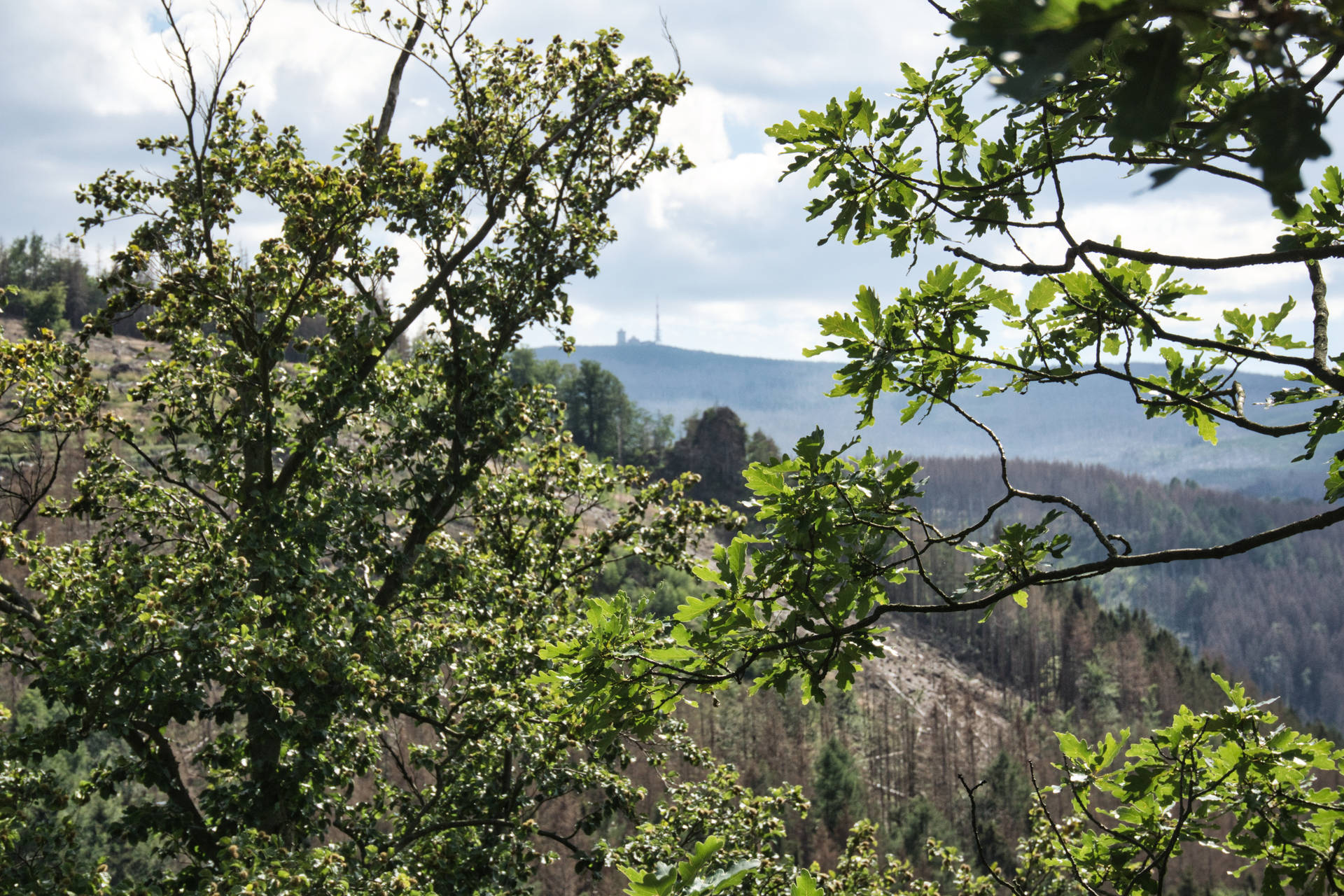 Green Mountain Nature Scenery Background