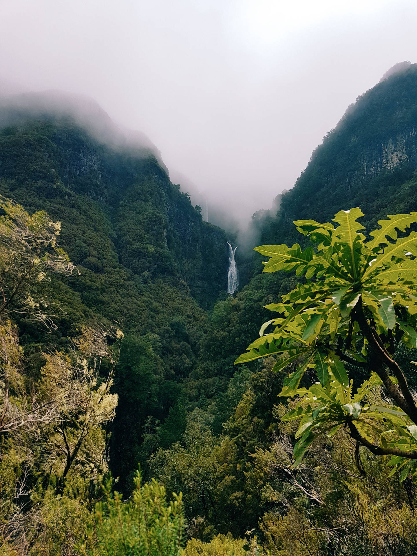 Green Mountains Amazing Iphone Background