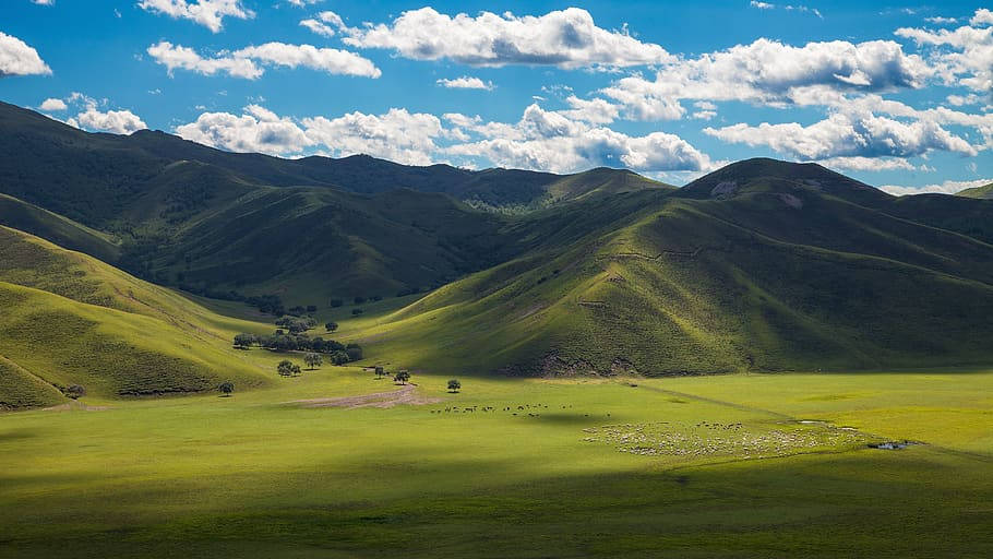 Green Mountainscapes Of Mongolias