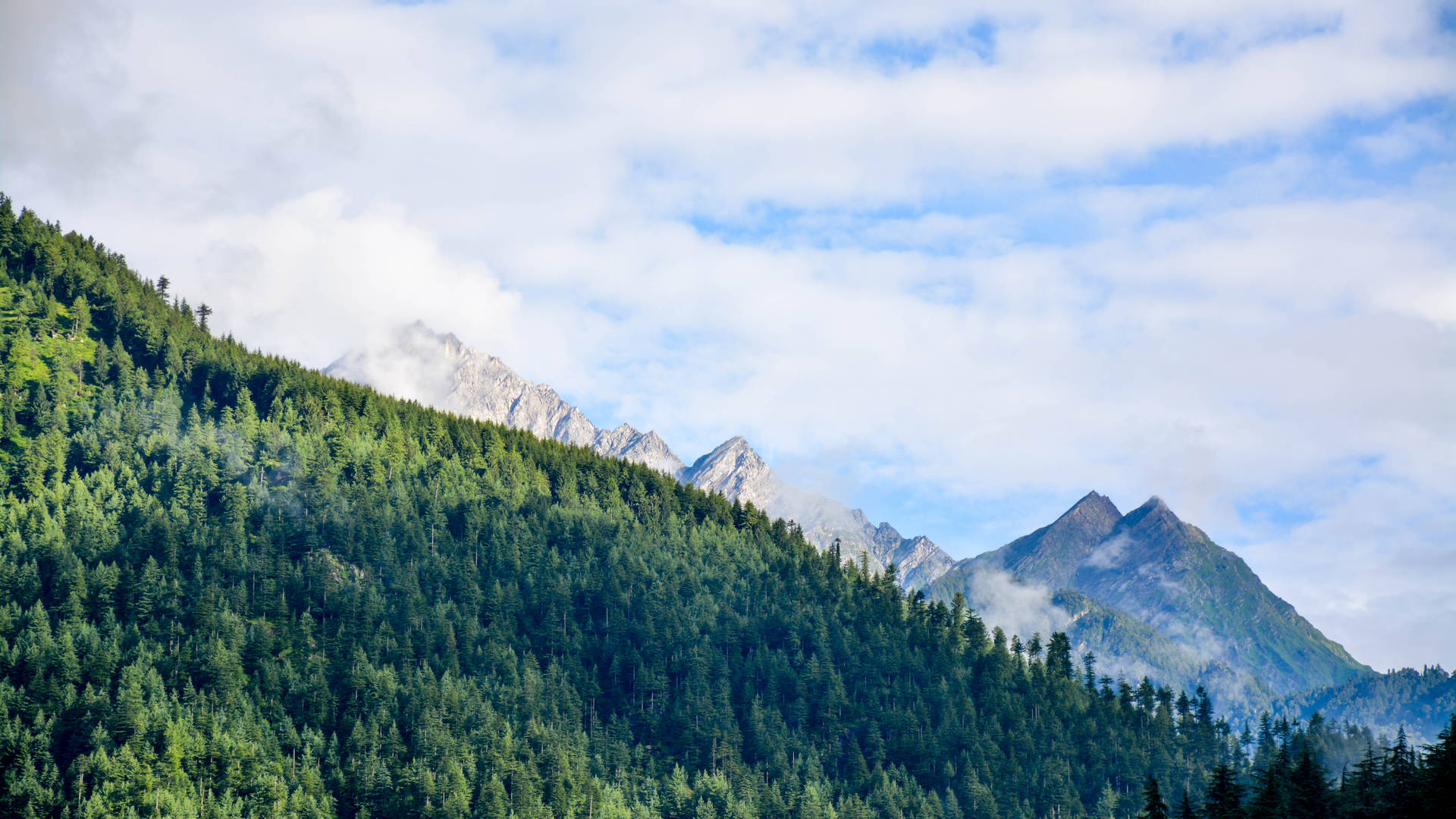 Green Mountainside Nature Scenery Background