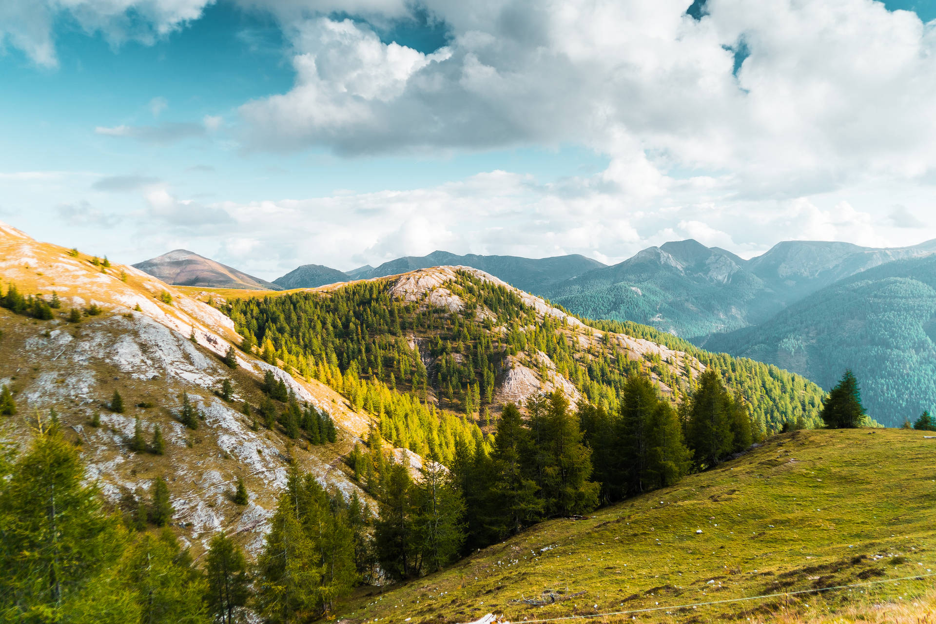 Green Mountainside Nature Scenery Background