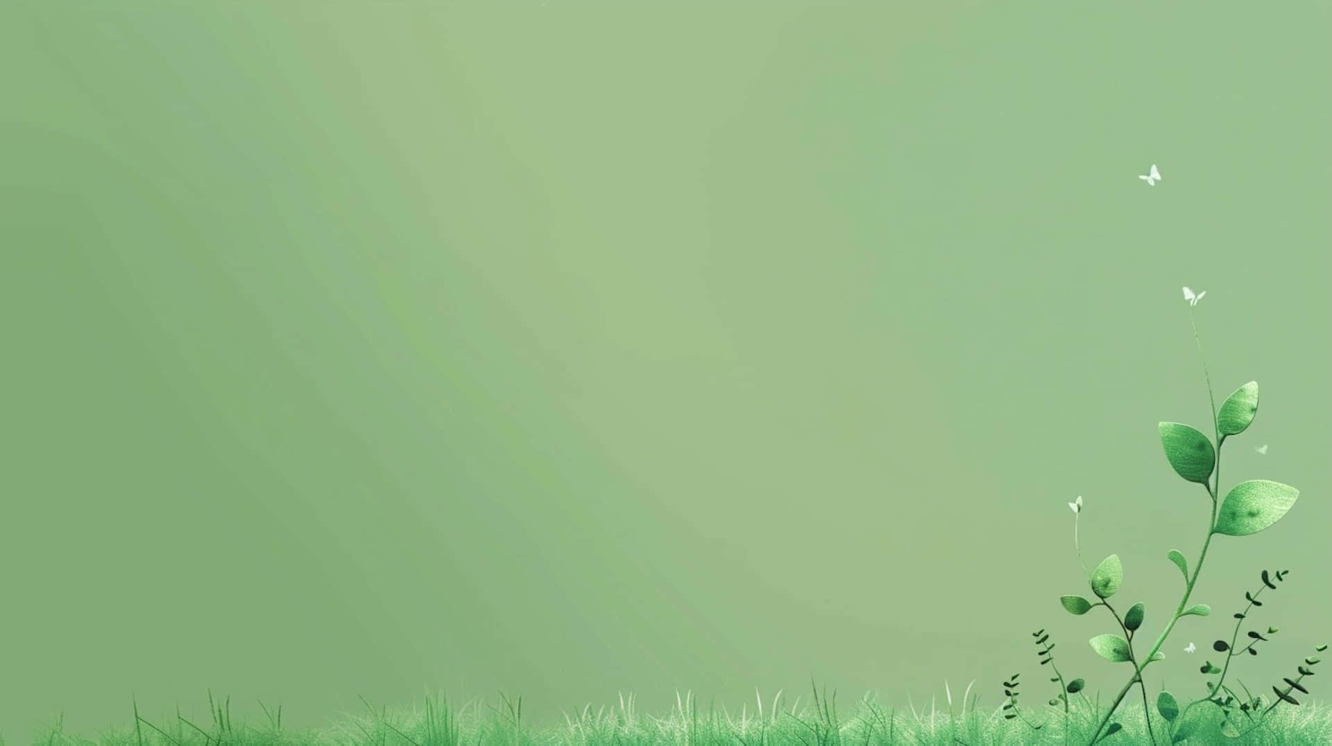 Green Nature Aesthetic Background Background